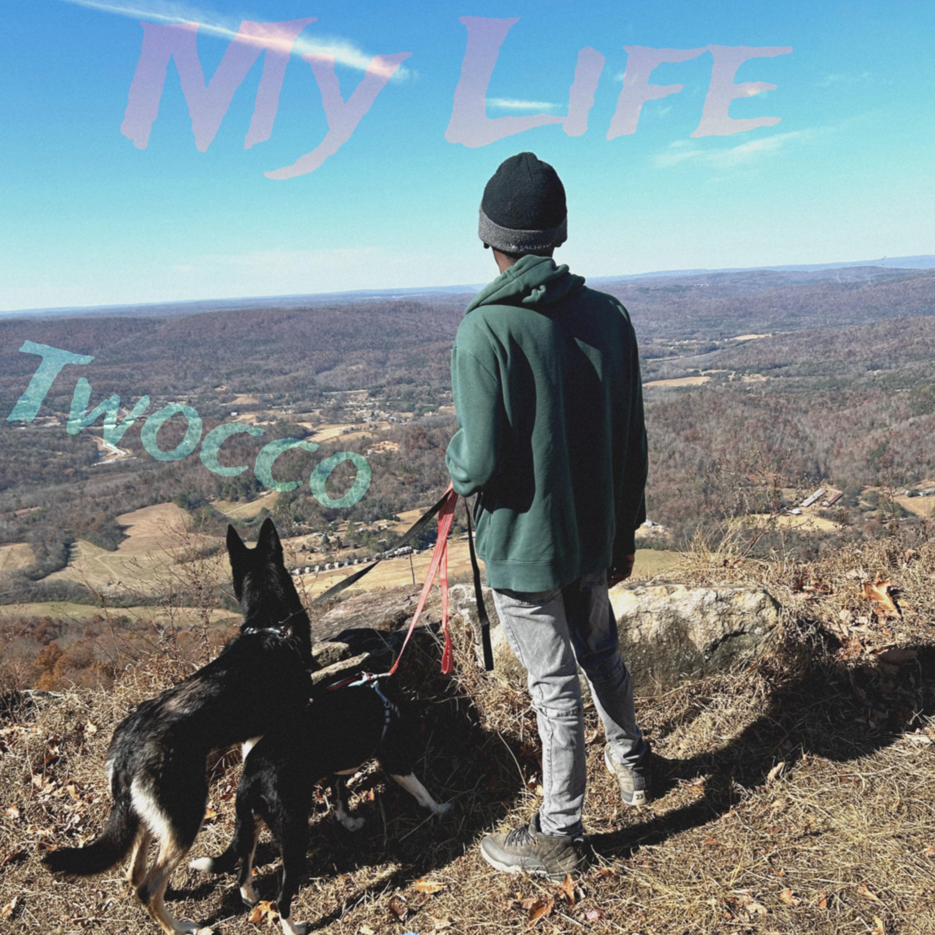 My Life artwork