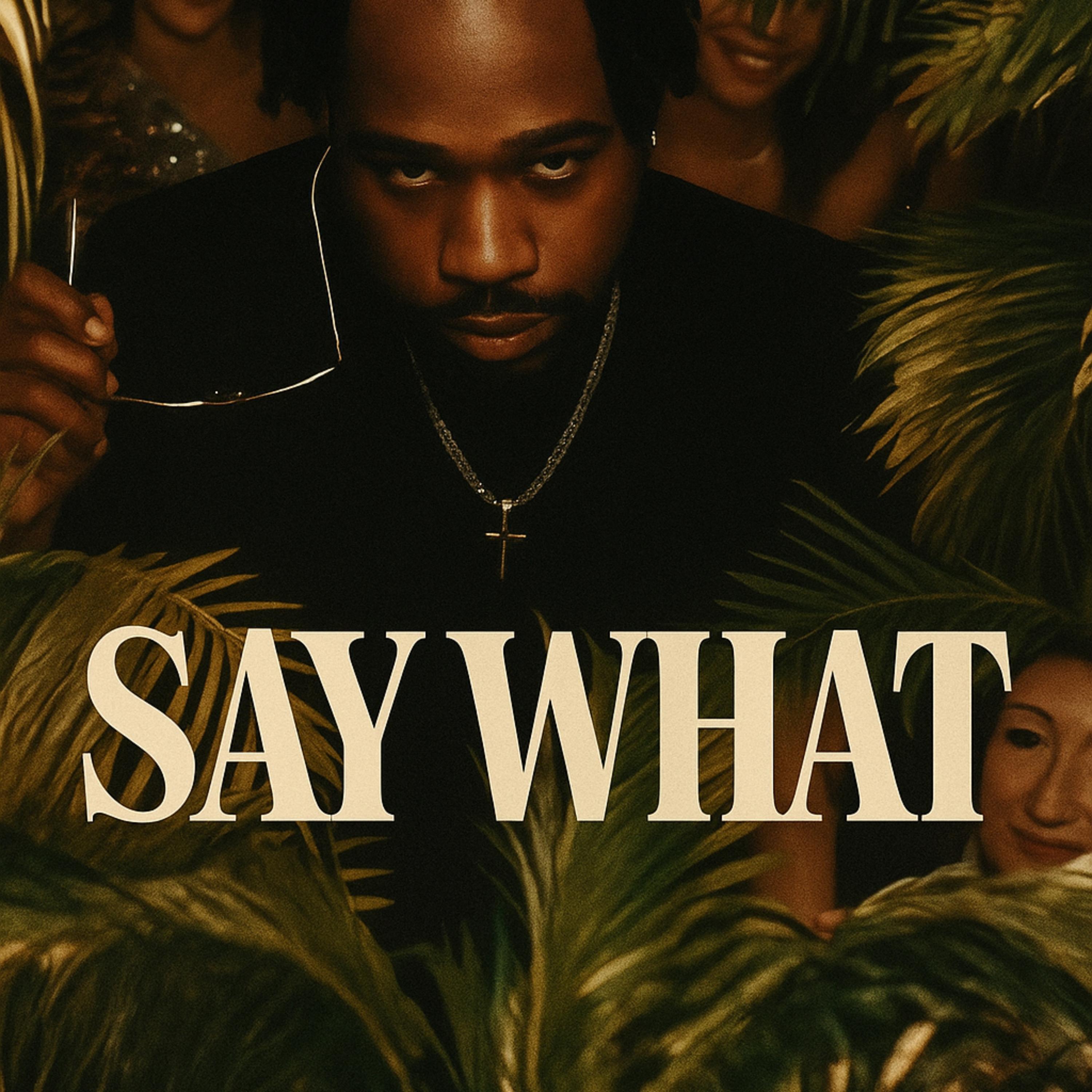 Say What artwork