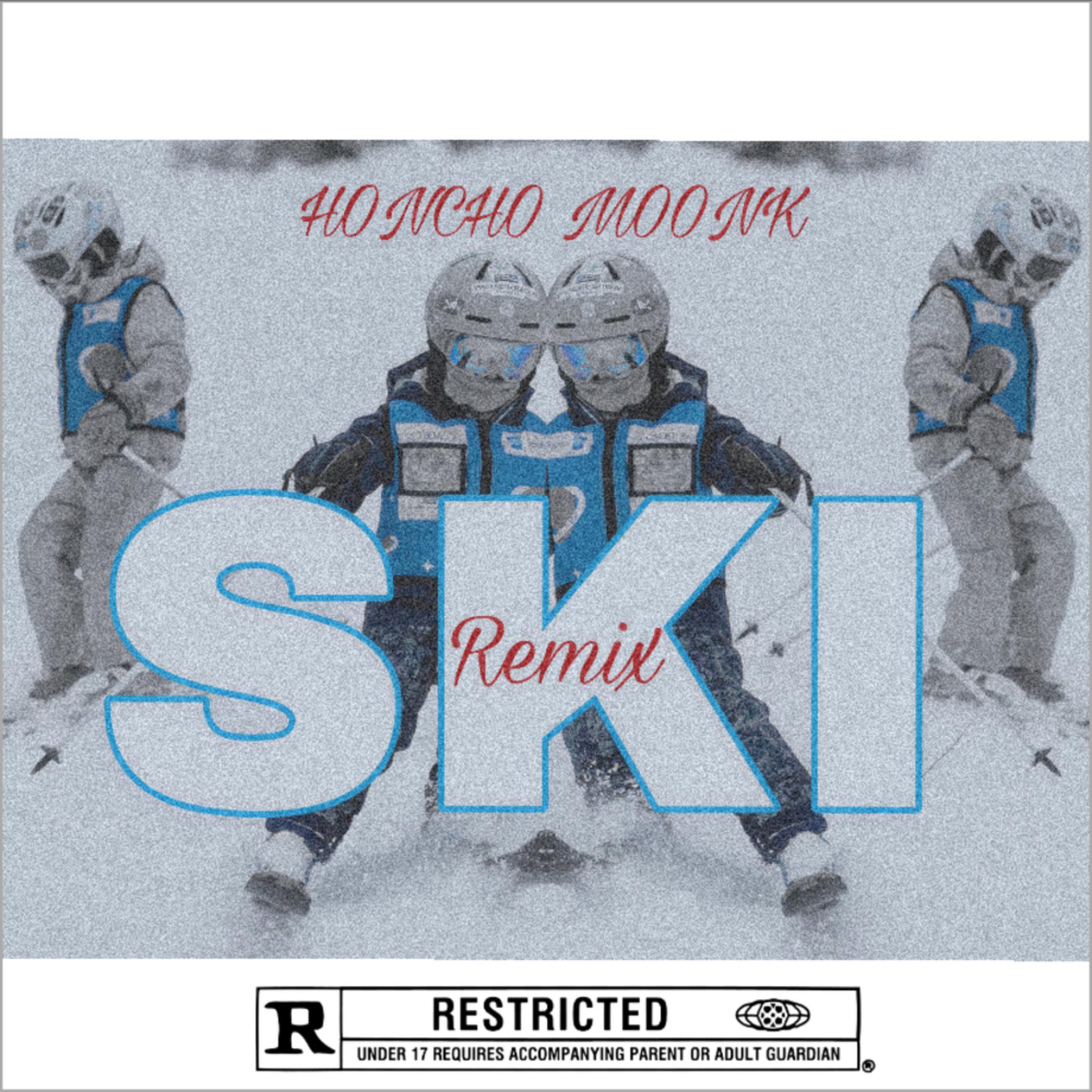 Ski Remix artwork
