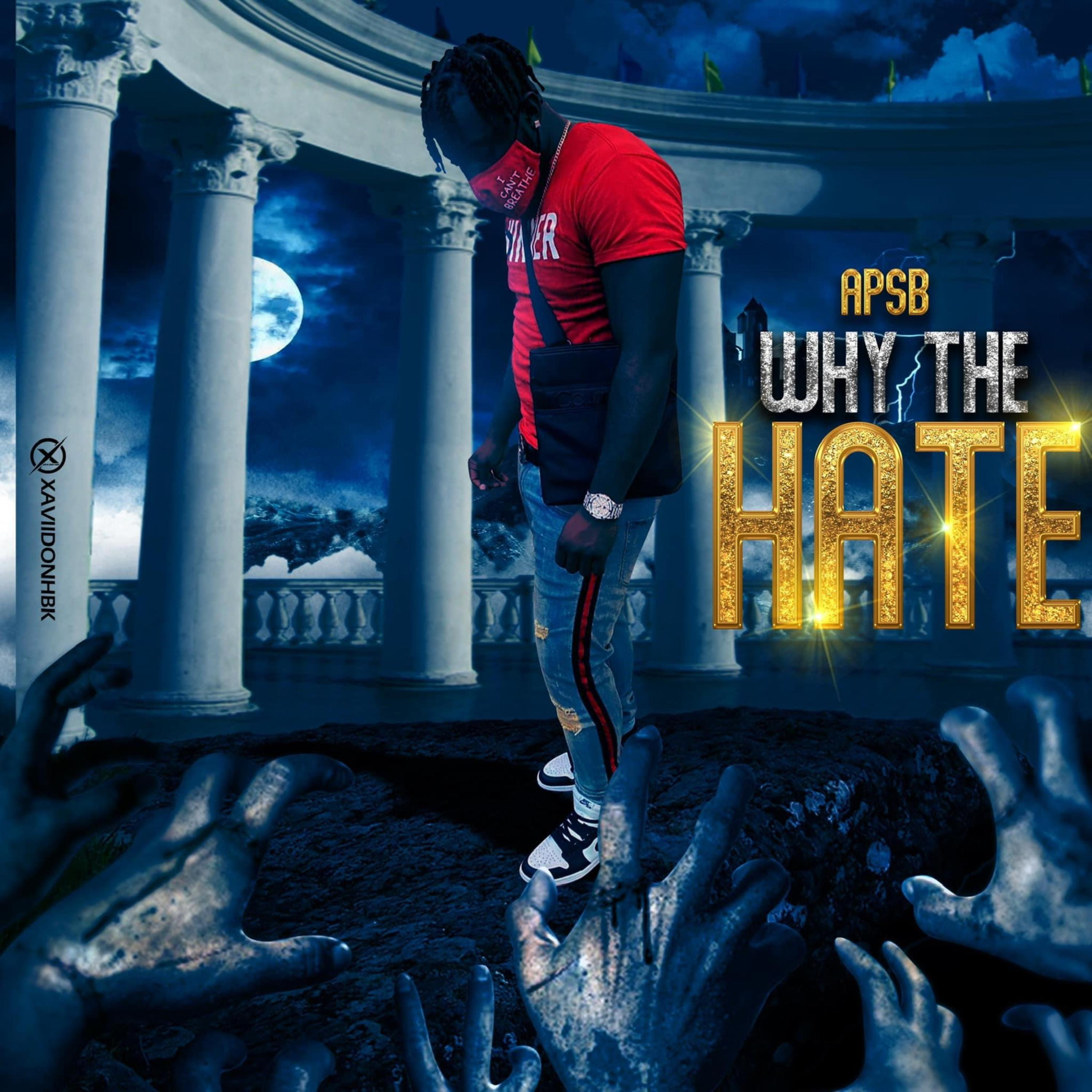 Why The Hate artwork