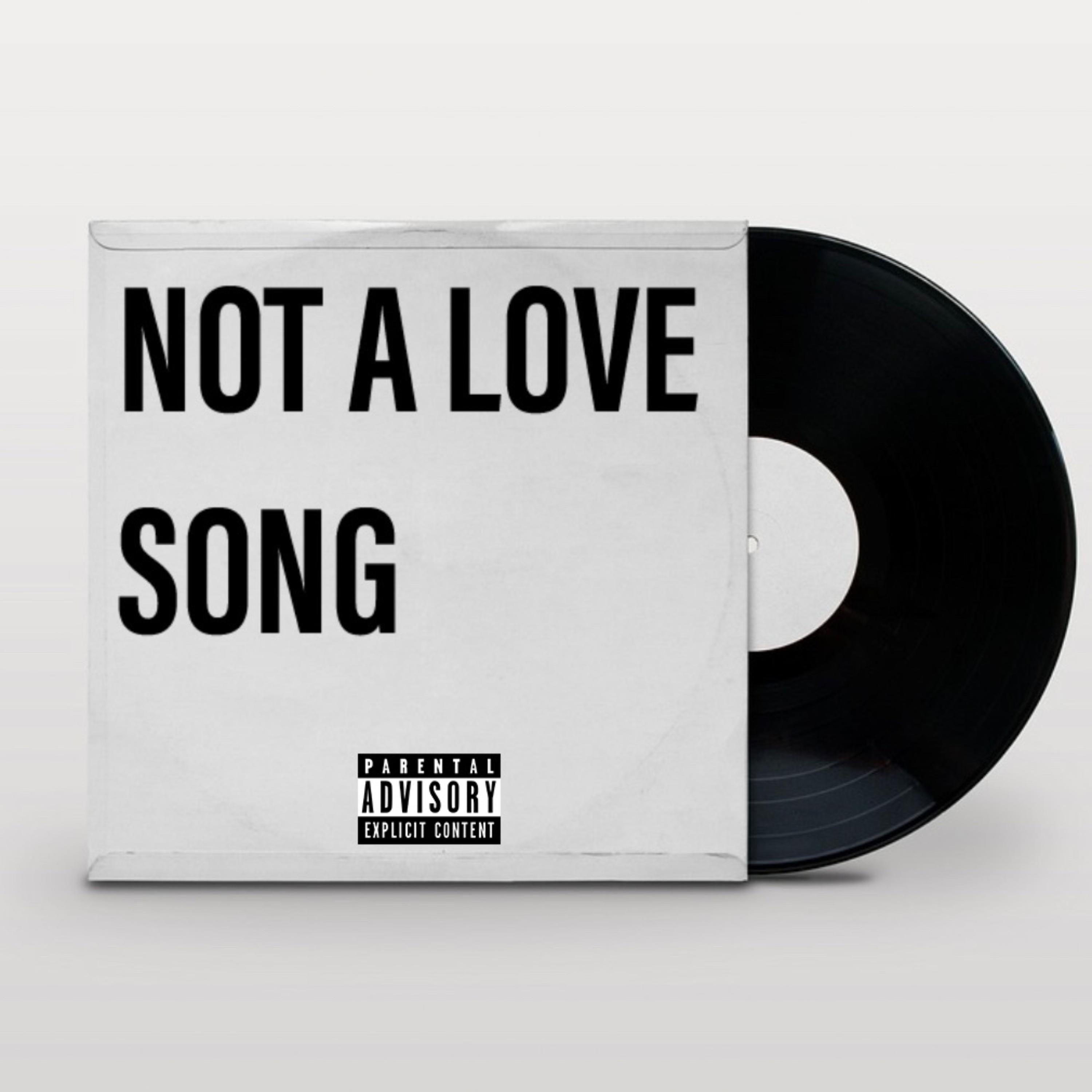Not A Love Song by Sheloveskai cover art