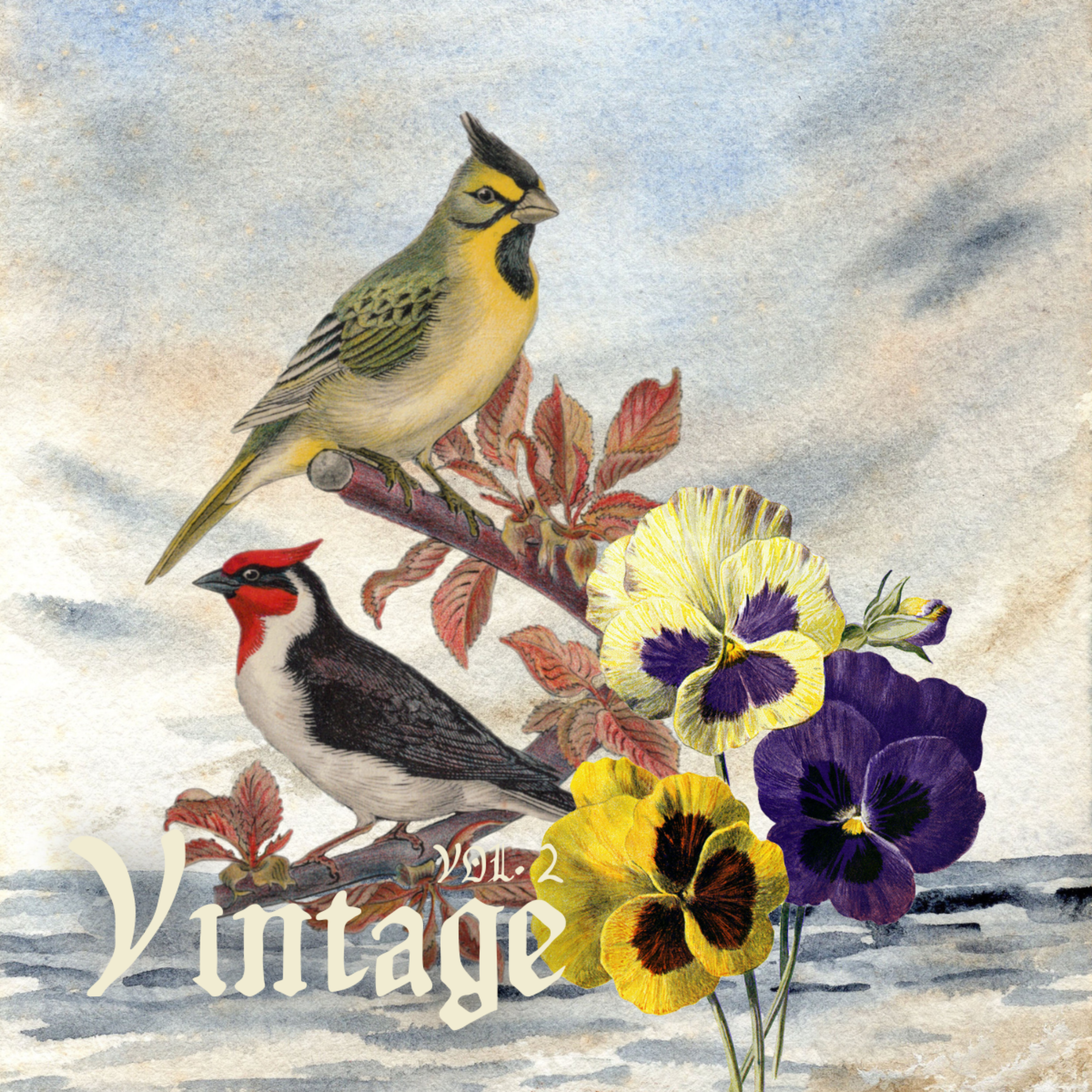 Vintage Vol. 2 artwork