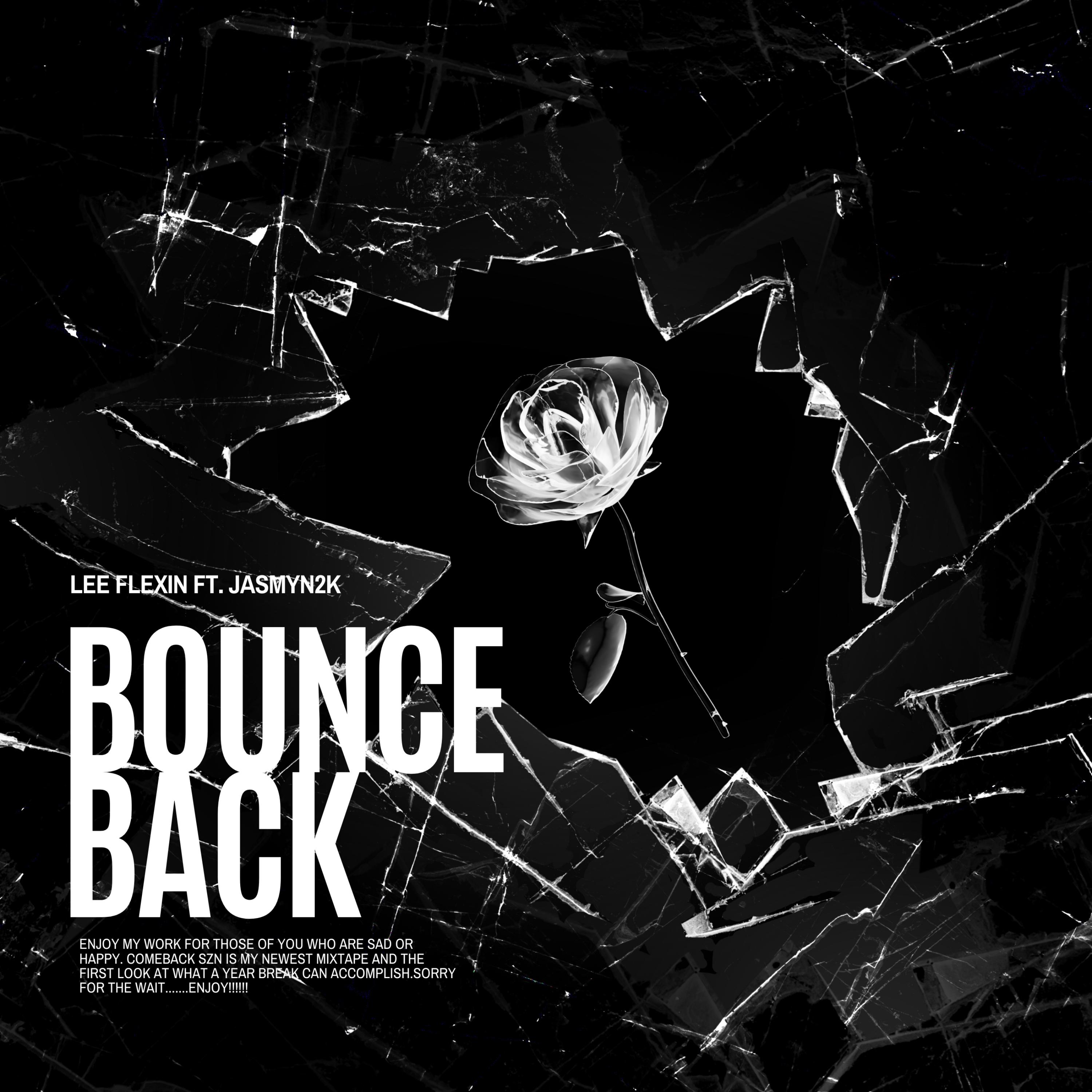 BOUNCE BACK artwork