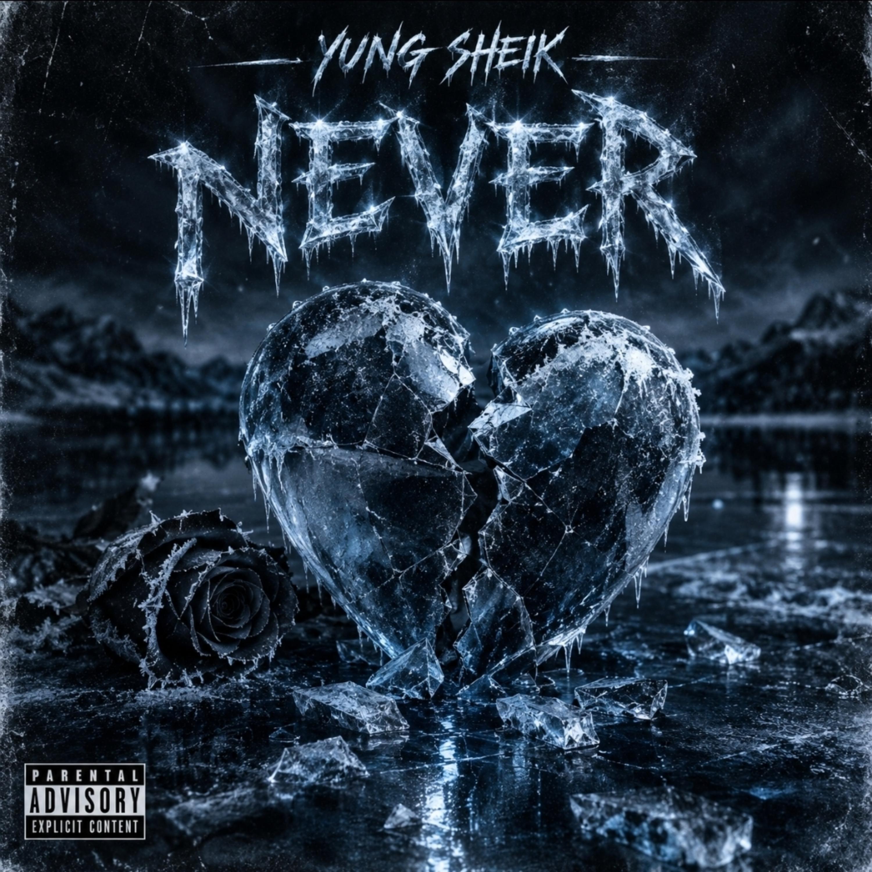 Never by Yung Sheik cover art