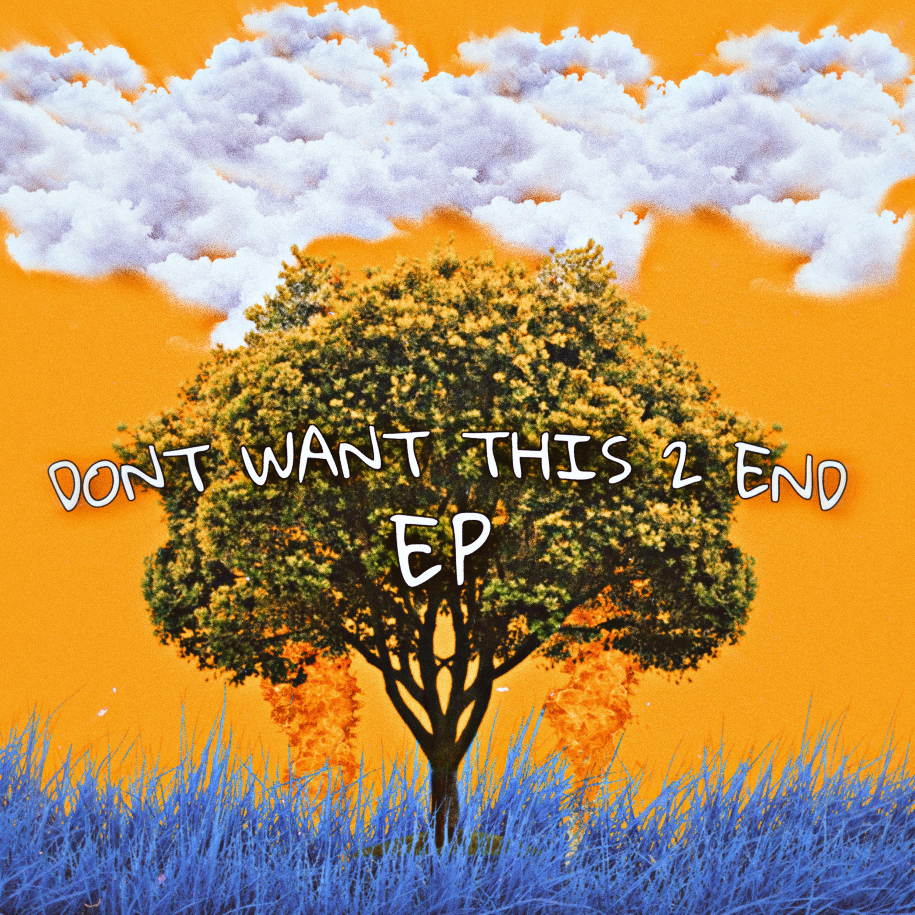 Dont Want This 2 End (EP) artwork