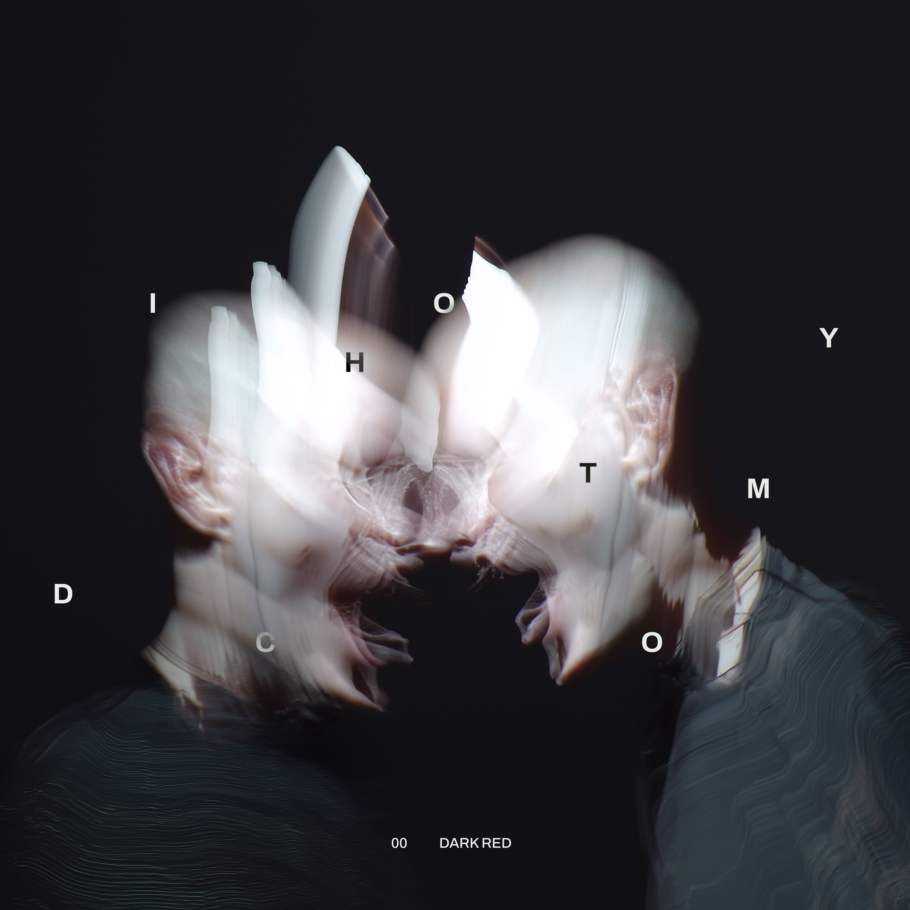 DICHOTOMY artwork