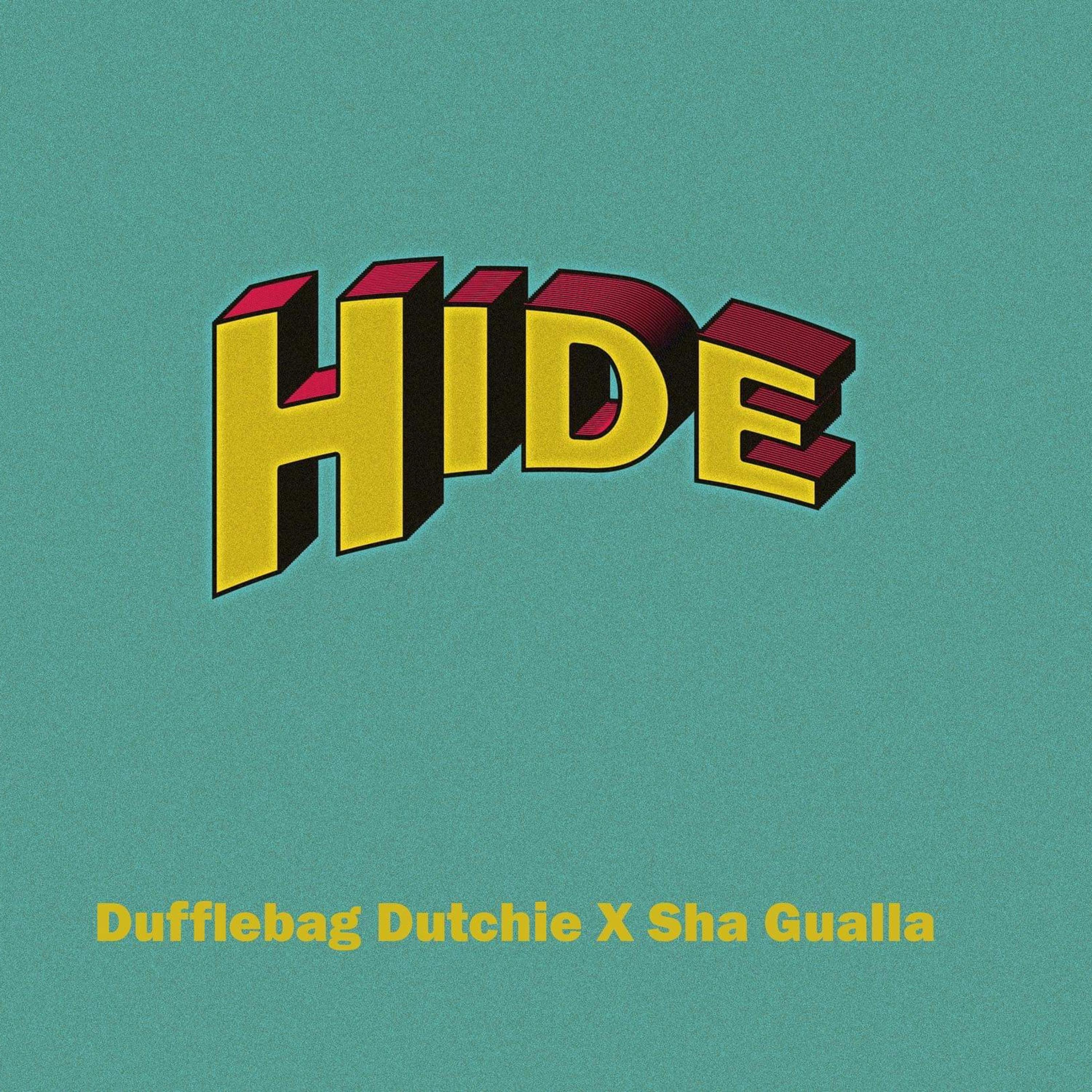HIDE artwork