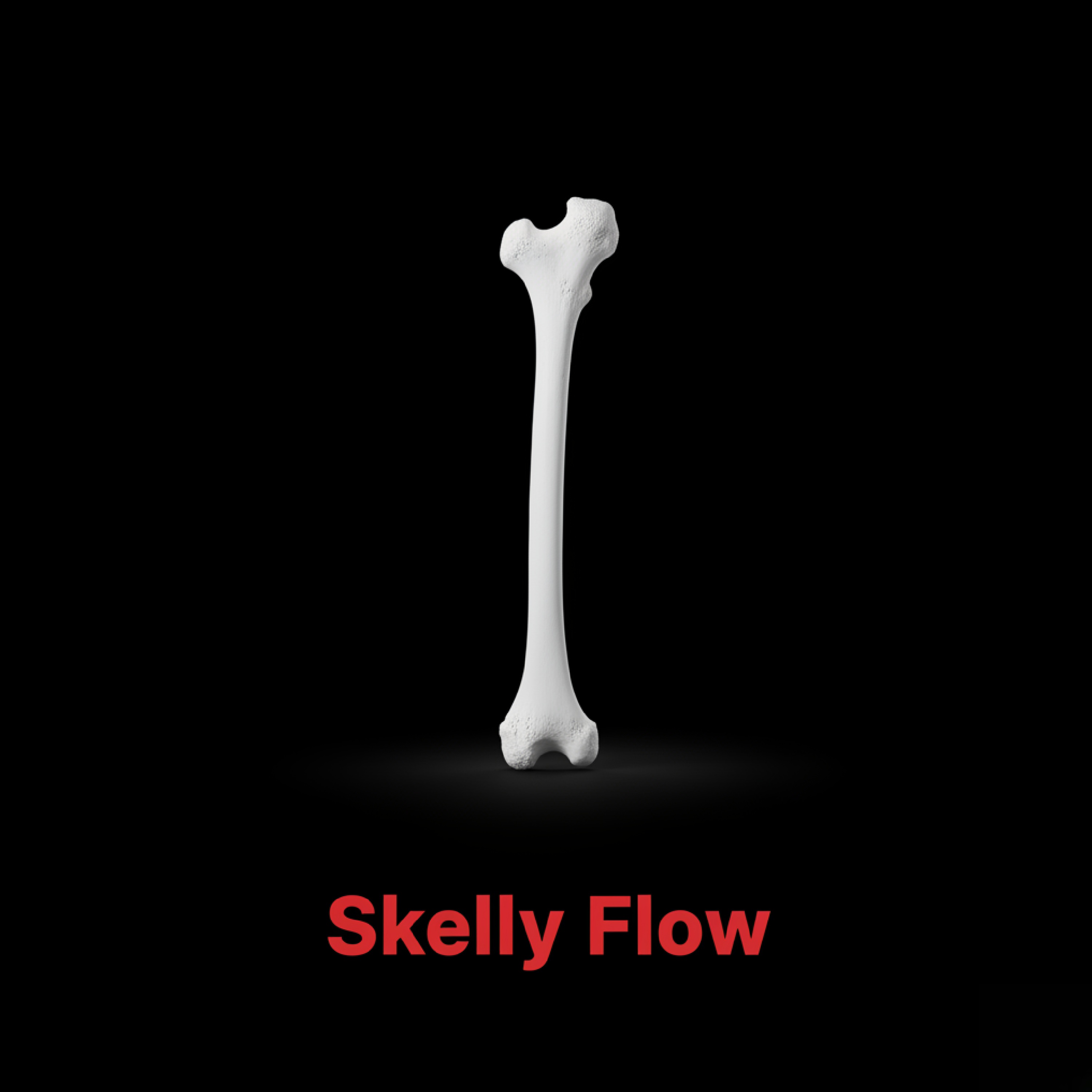 Skelly Flow artwork
