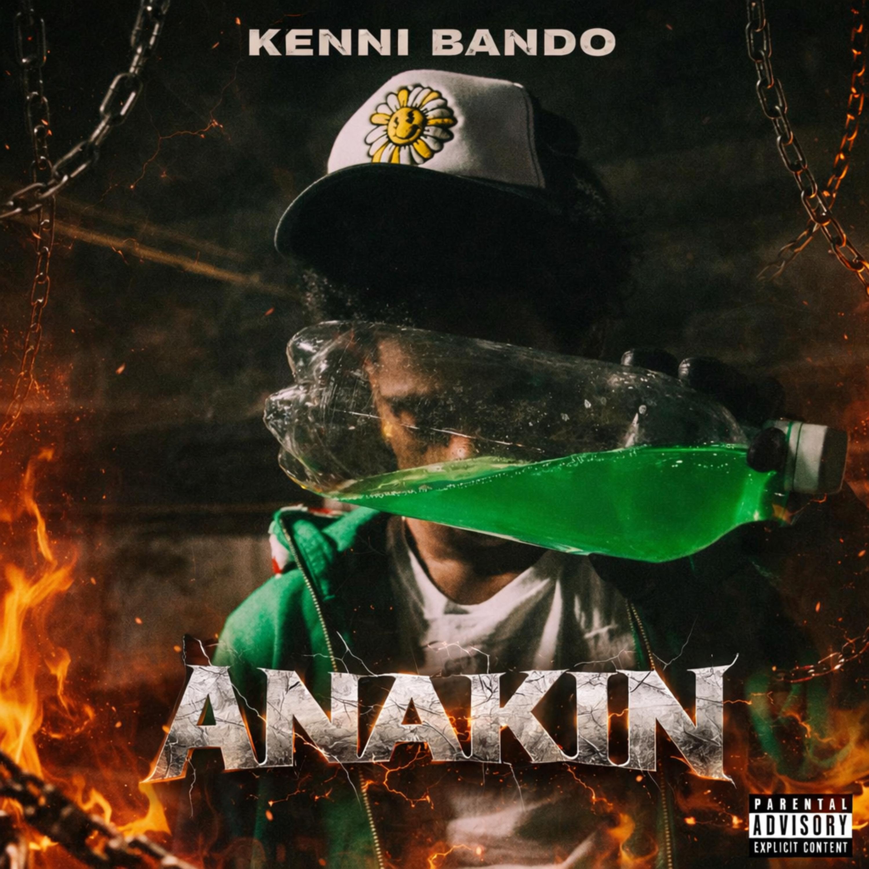 Anakin artwork