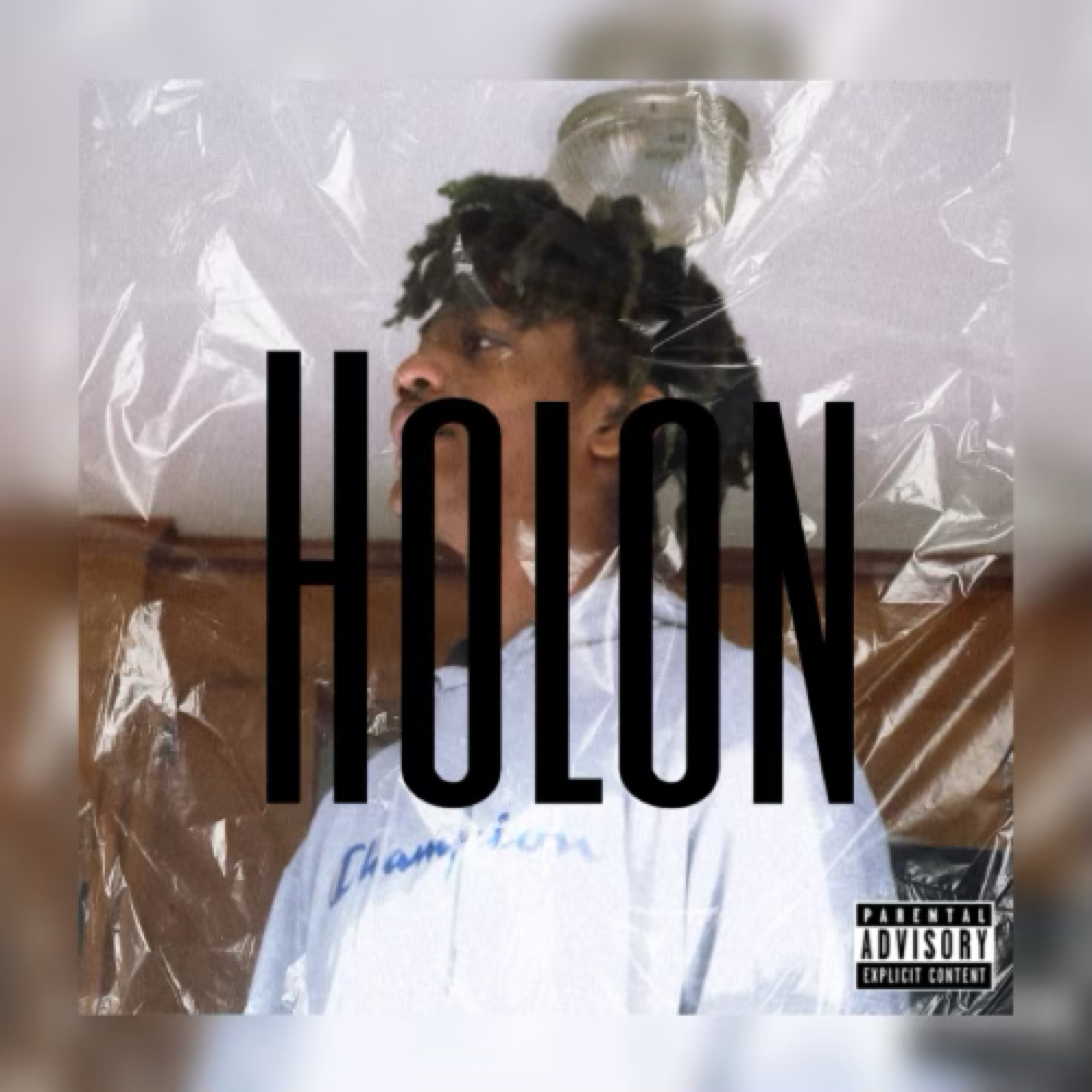 Holon artwork
