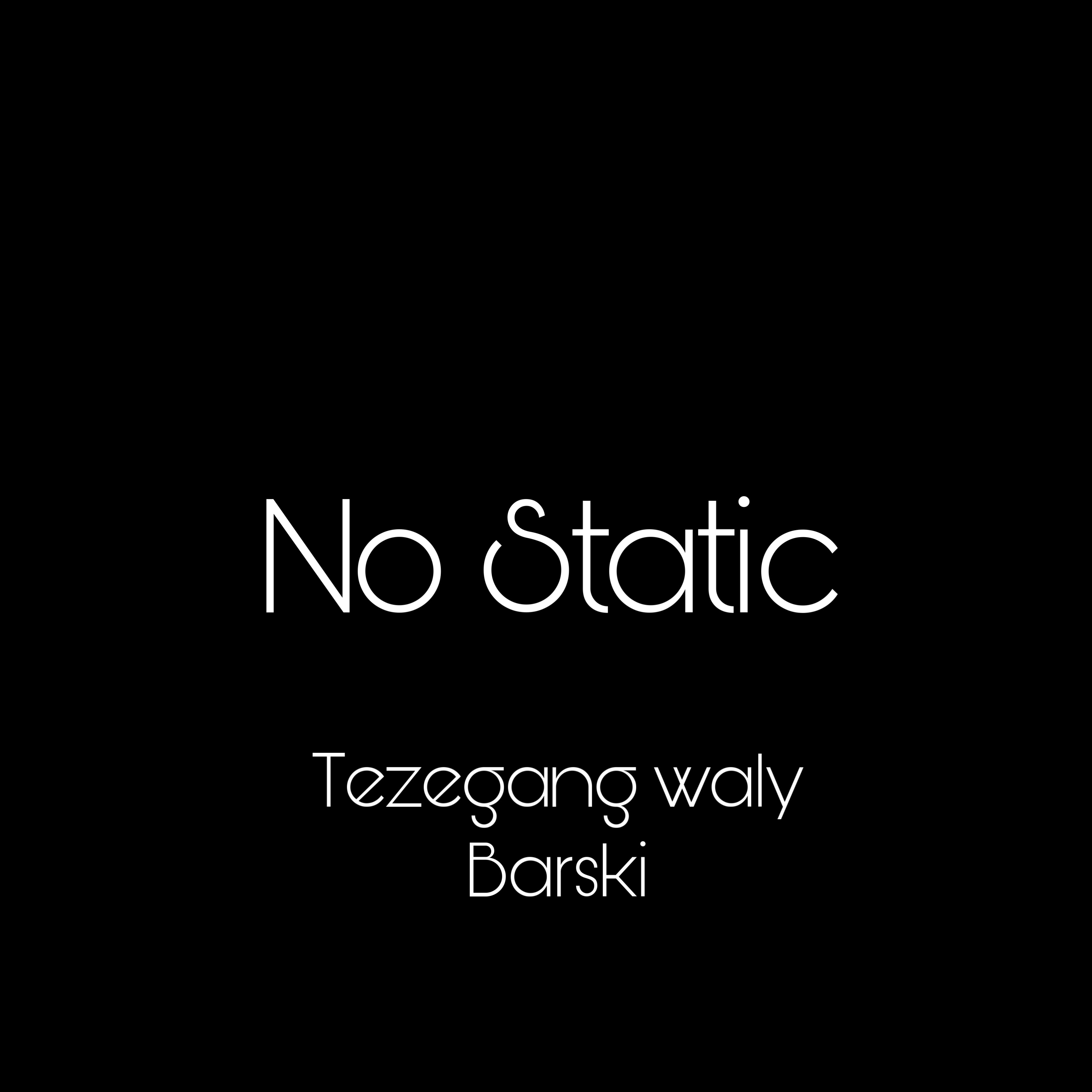 No Static artwork