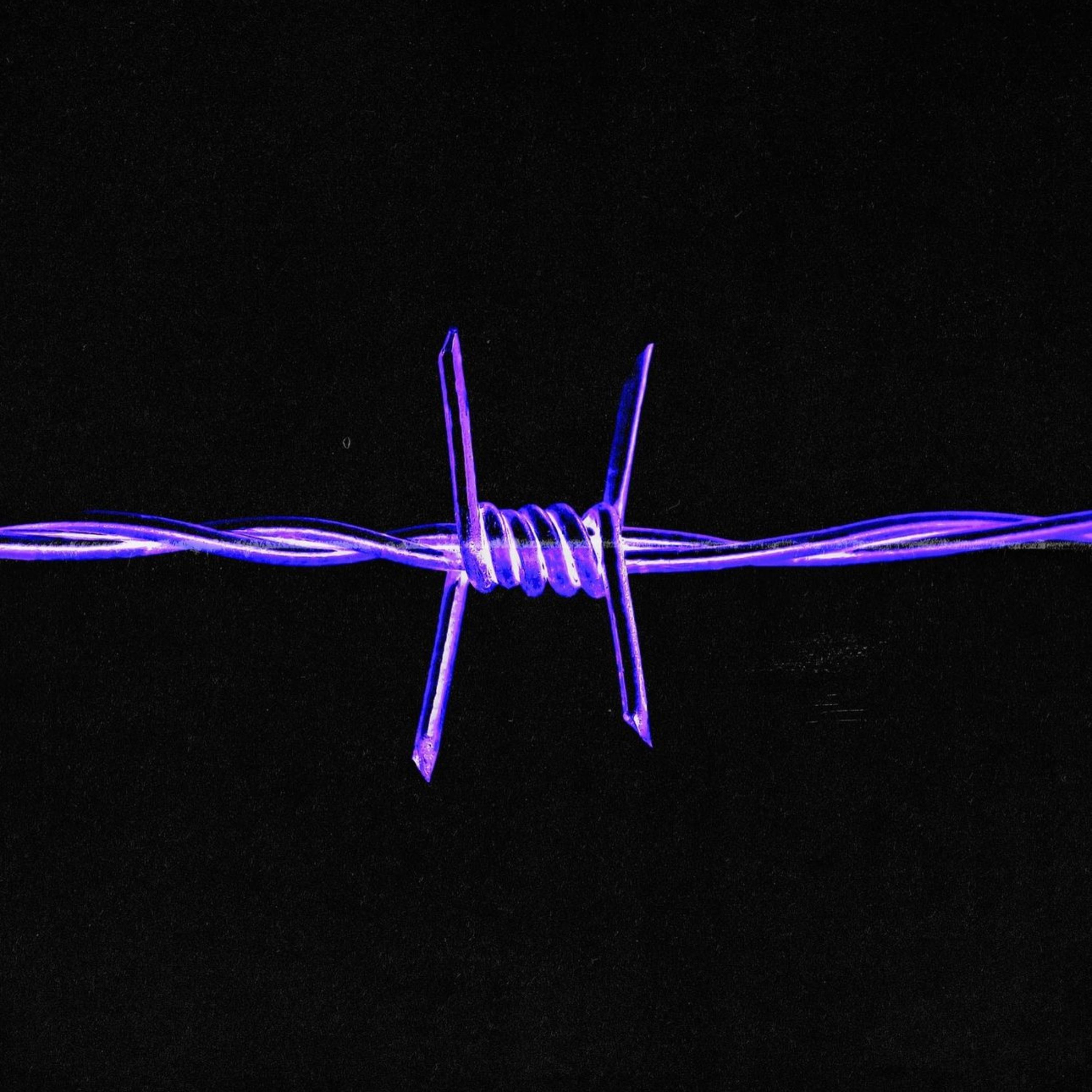 BARBED W!RE artwork