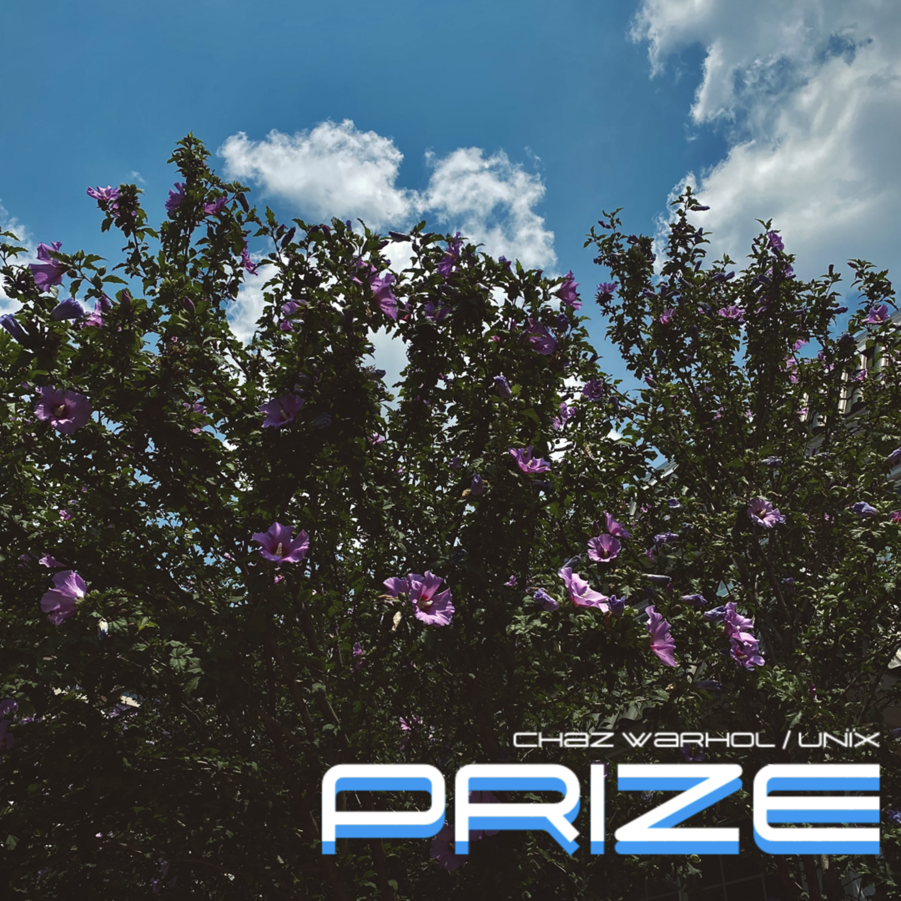 Prize artwork