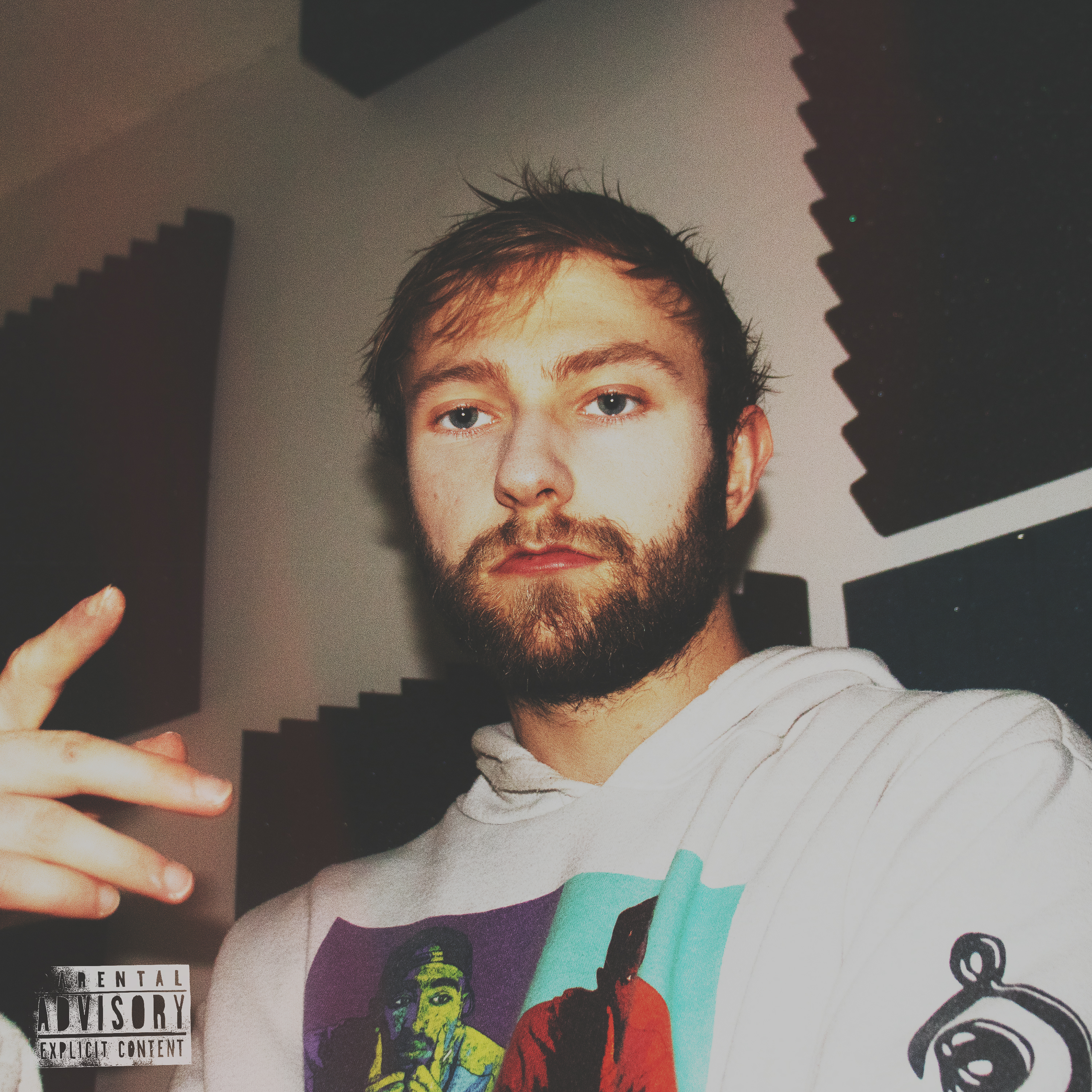 Shouldn't Have Happened artwork