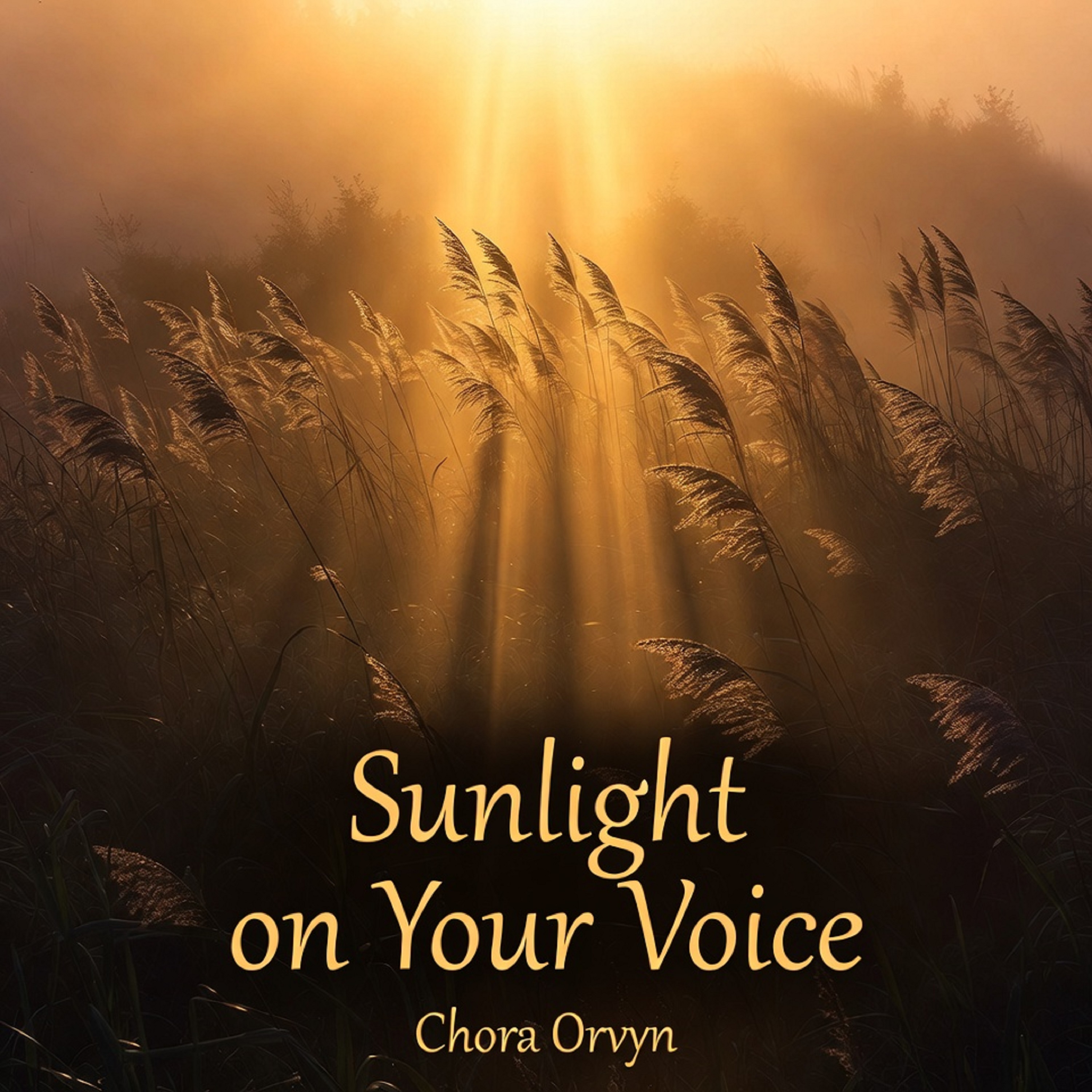 Sunlight on Your Voice artwork