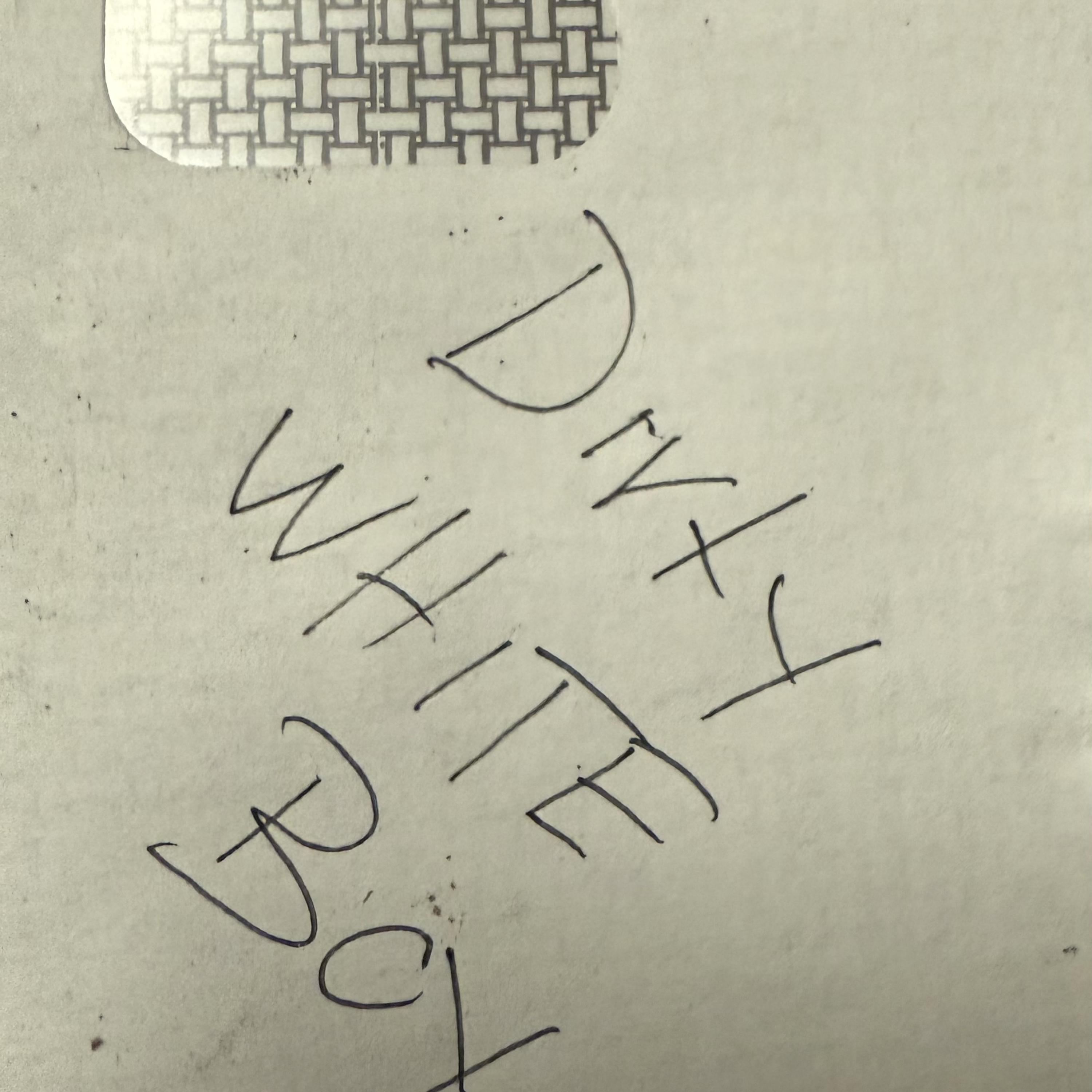 Dirty White Boy artwork