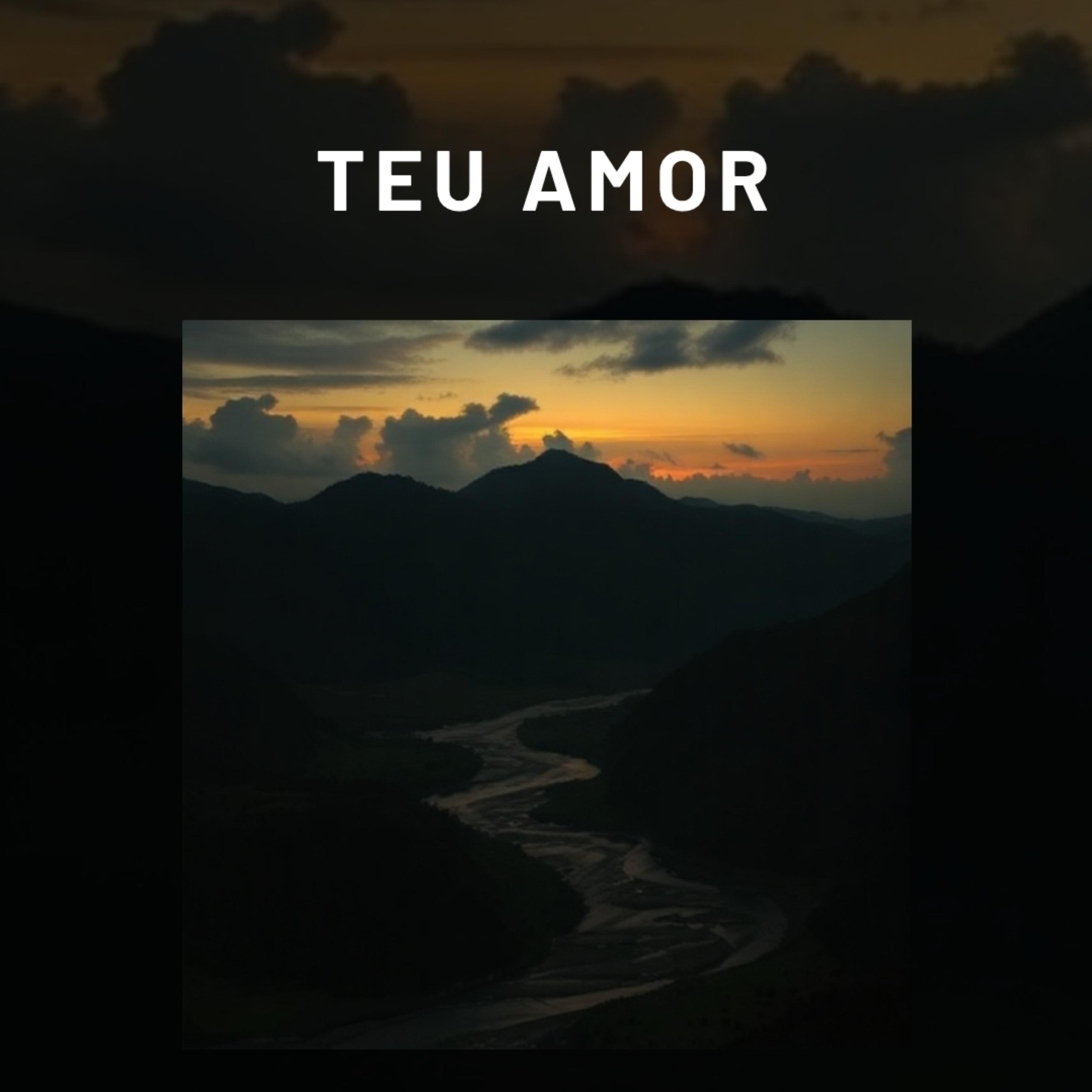 Teu Amor artwork