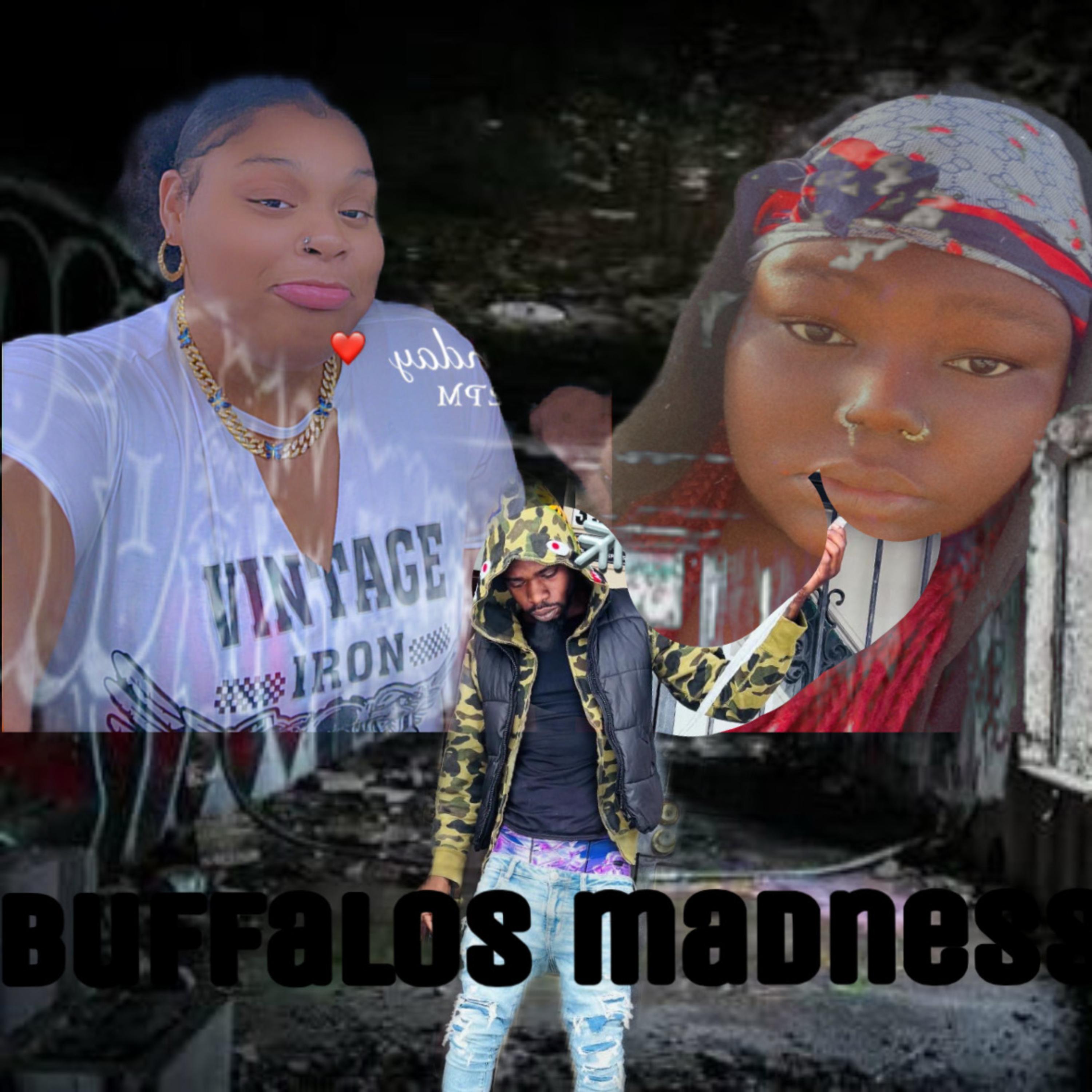 BUFFALOS MADNESS artwork