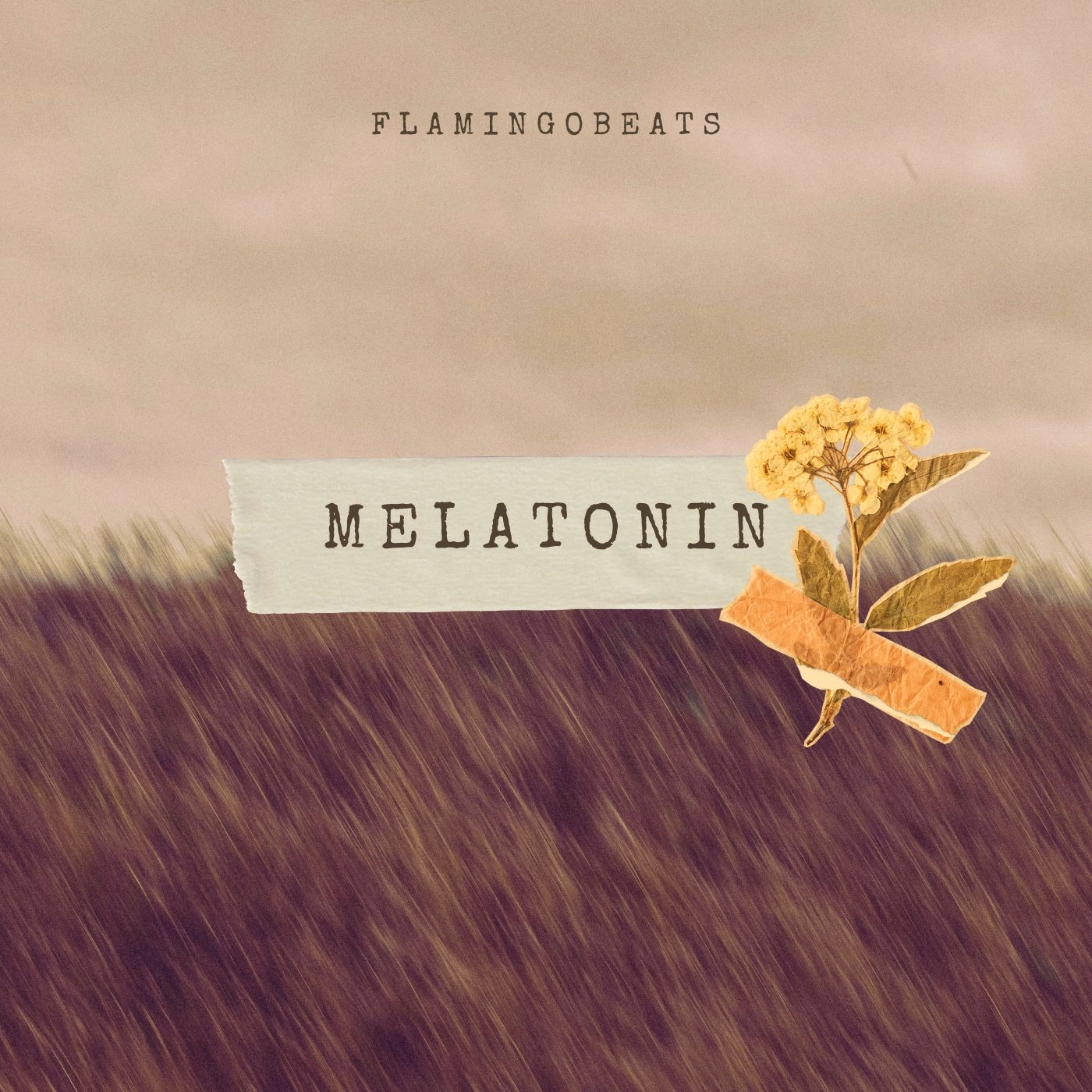melatonin artwork