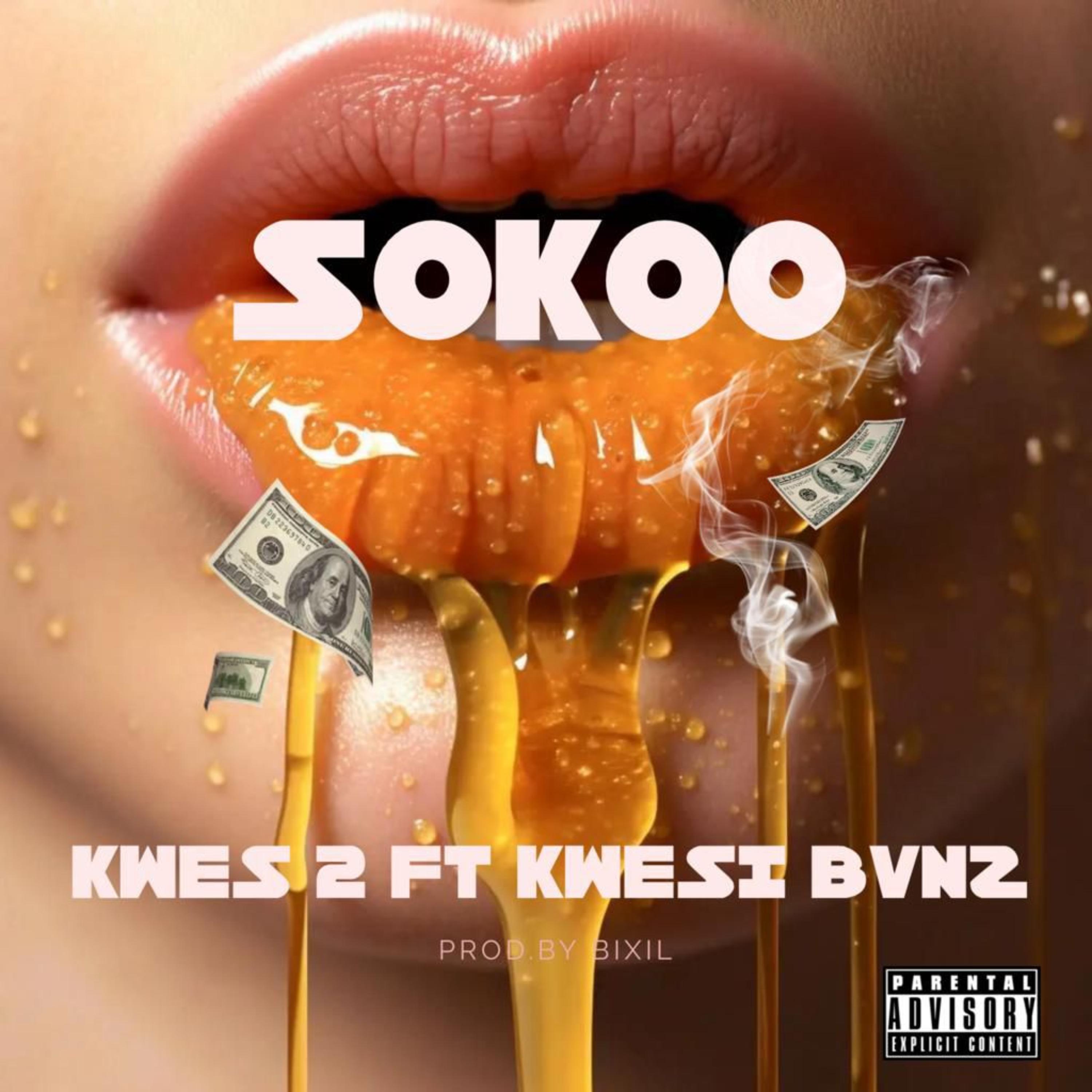 Sokoo artwork