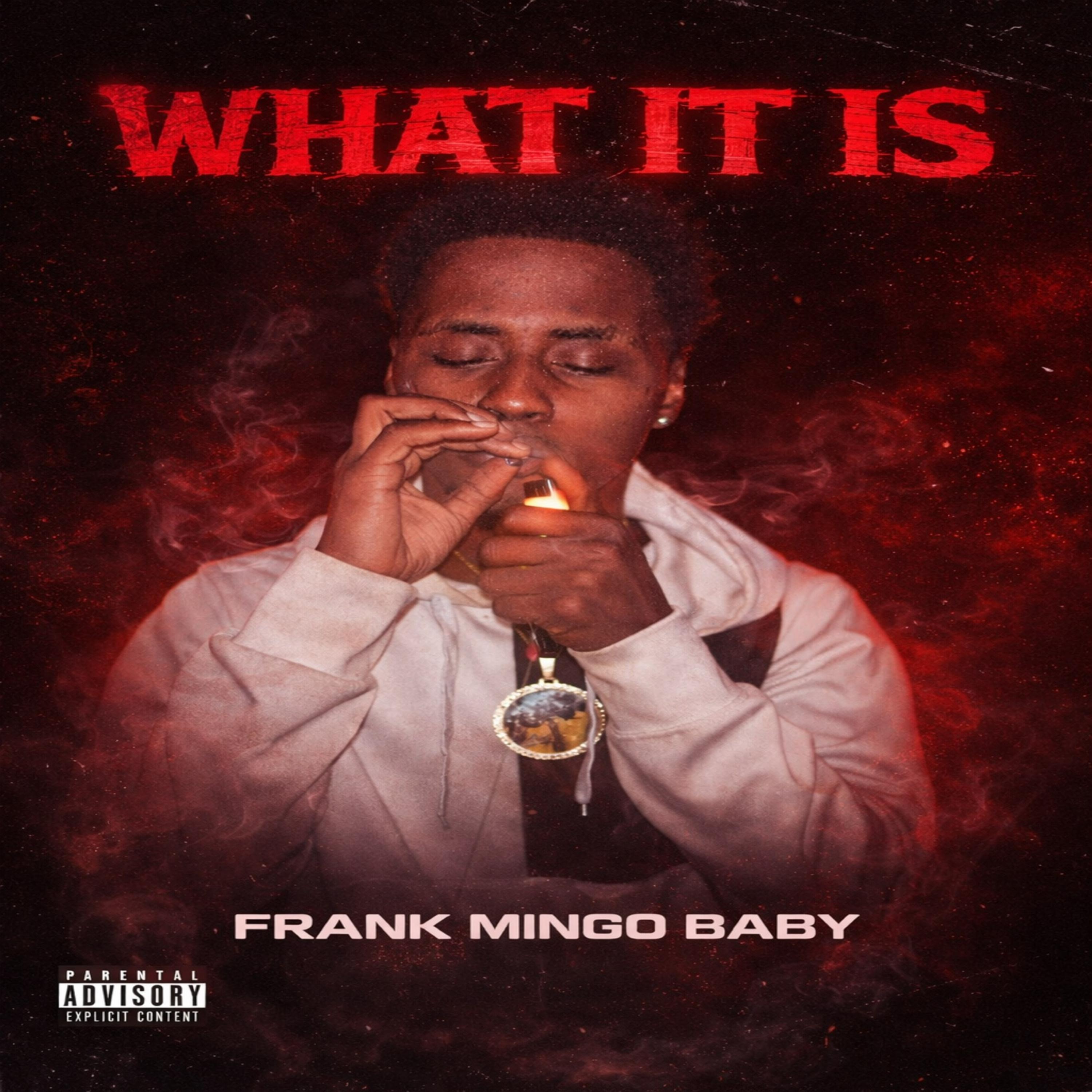 What It Is by Frank Mingo Baby cover art