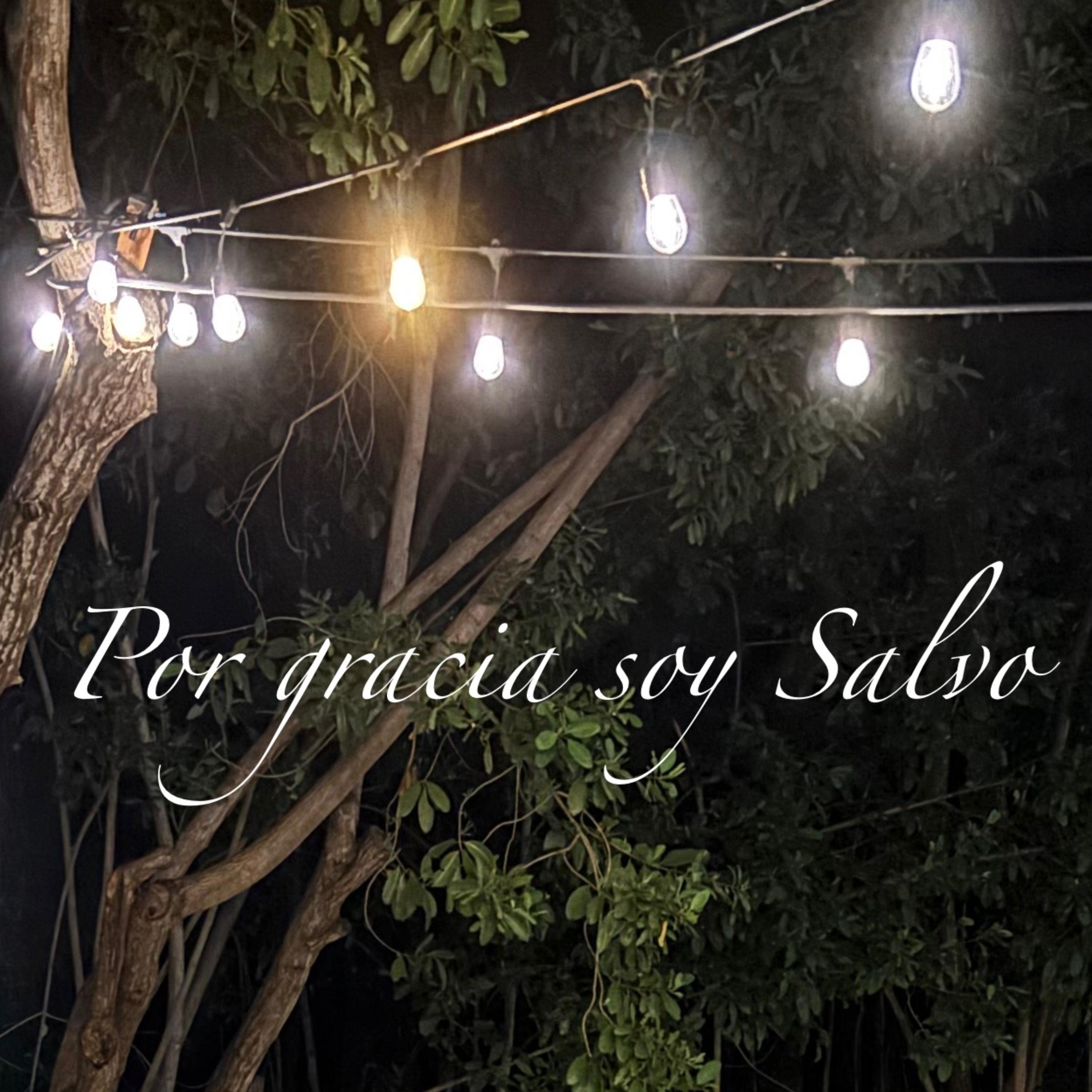 Por gracia soy Salvo artwork