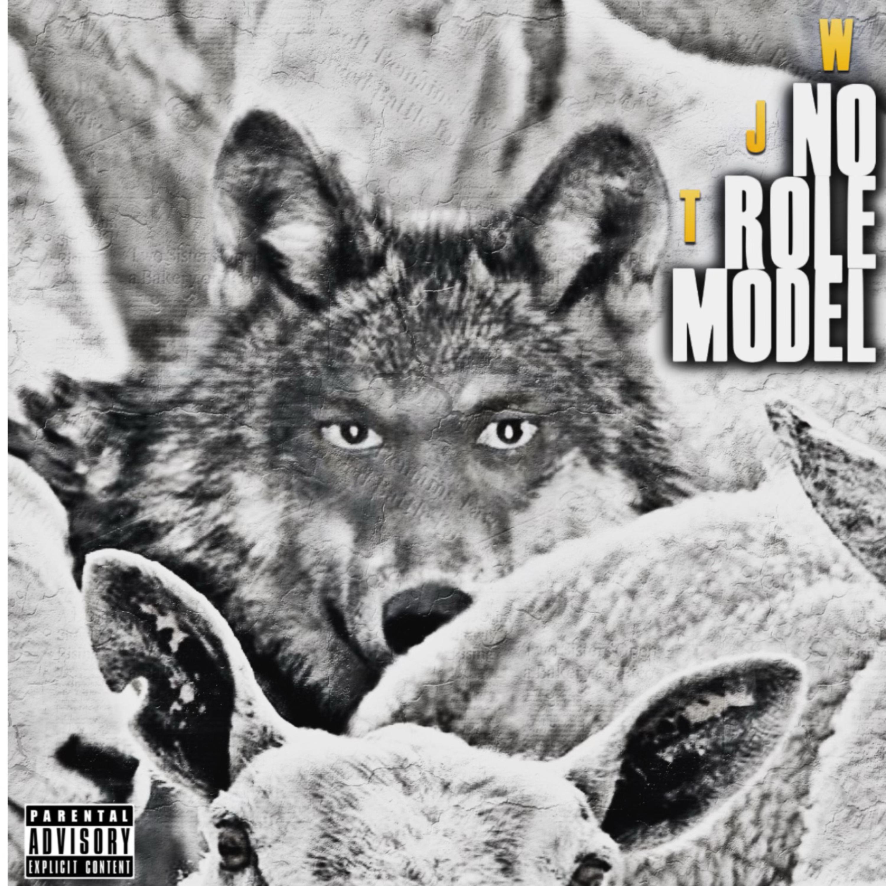 No Role Model artwork