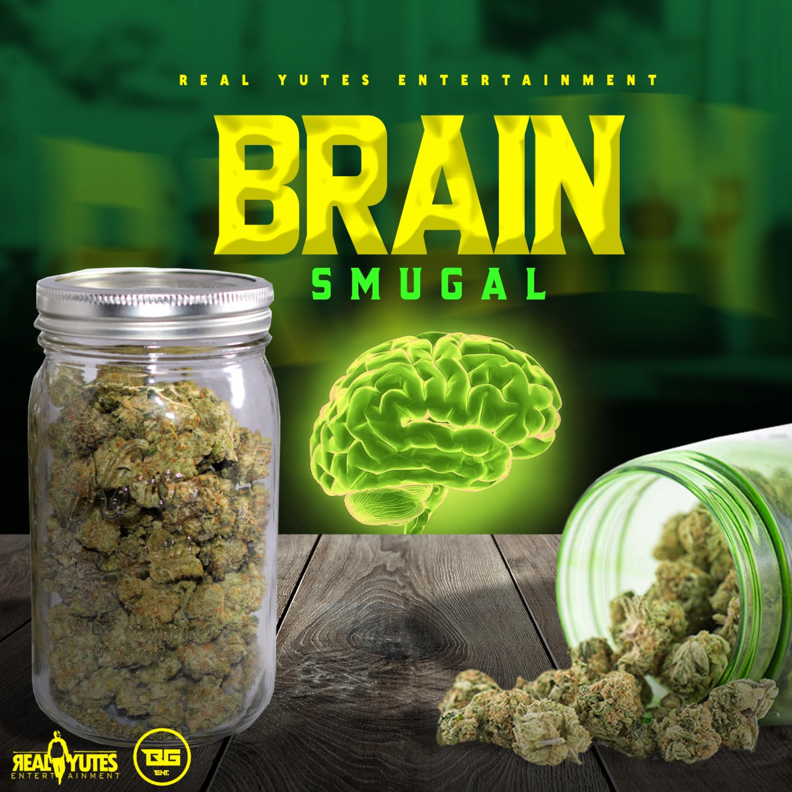 Brain artwork