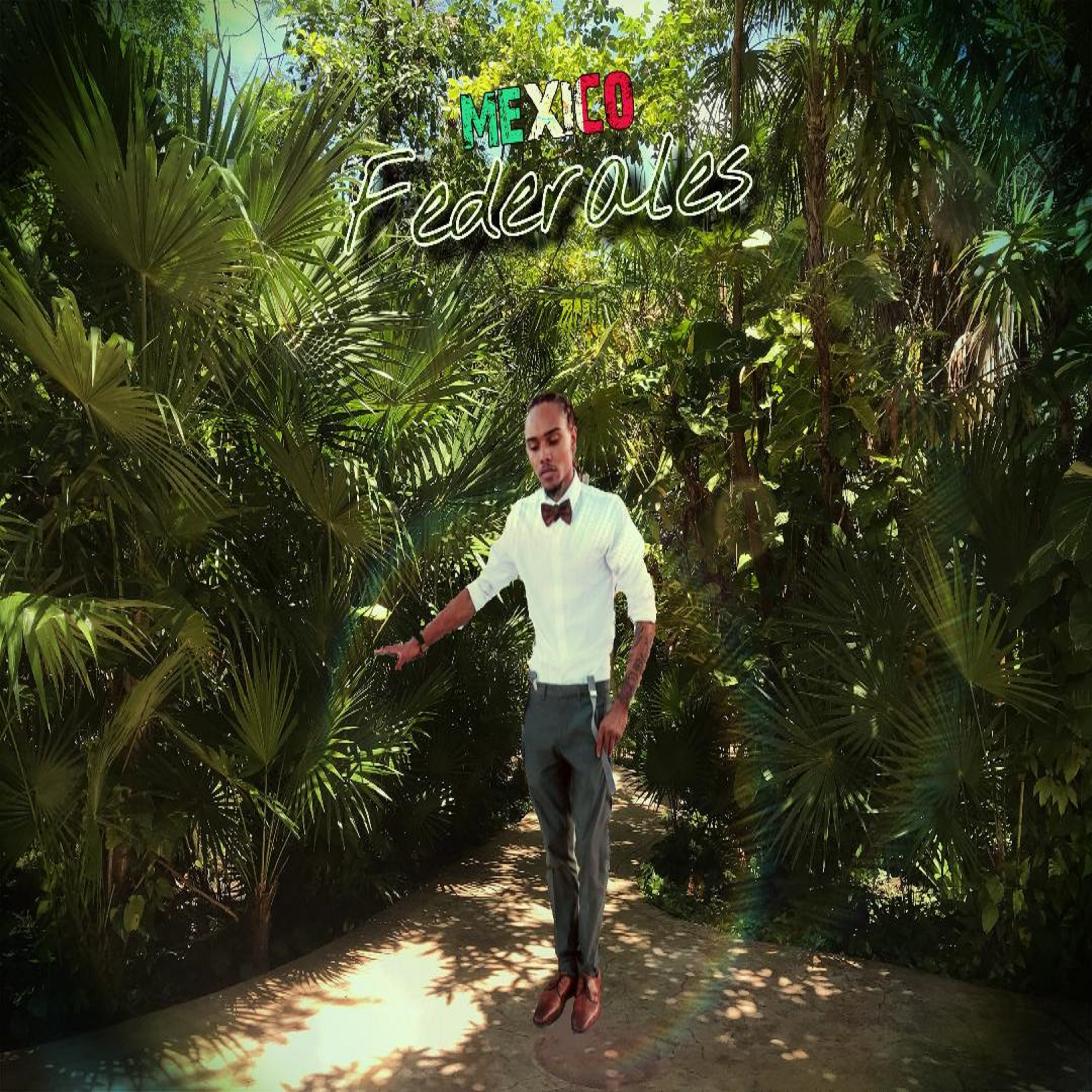 Federlas artwork