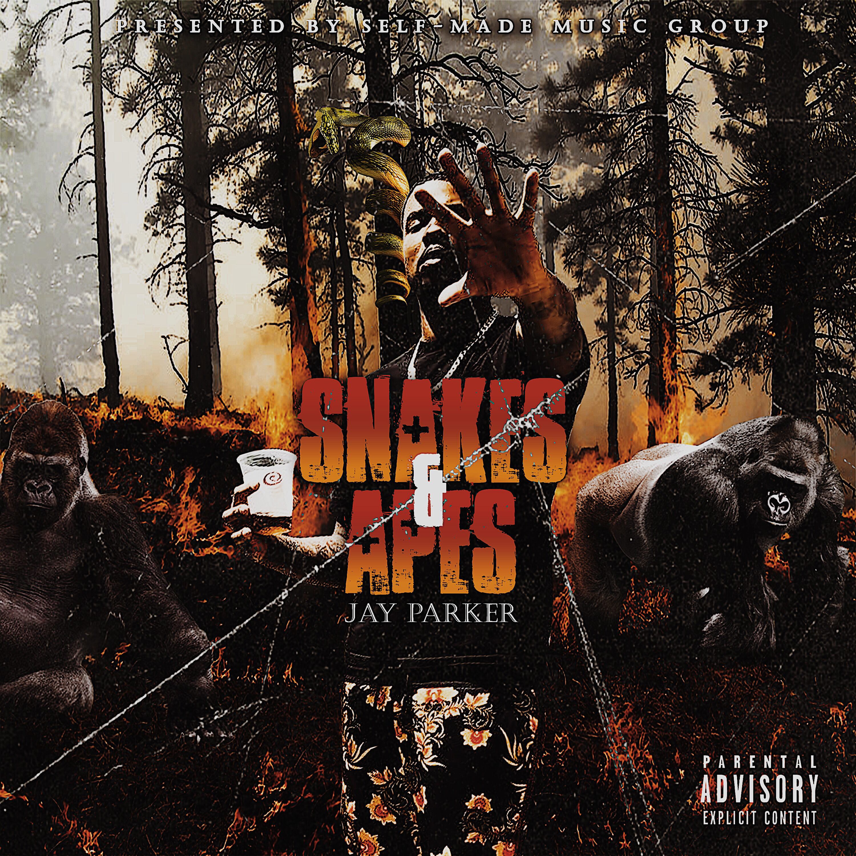 Snakes & Apes by Jay Parker cover art