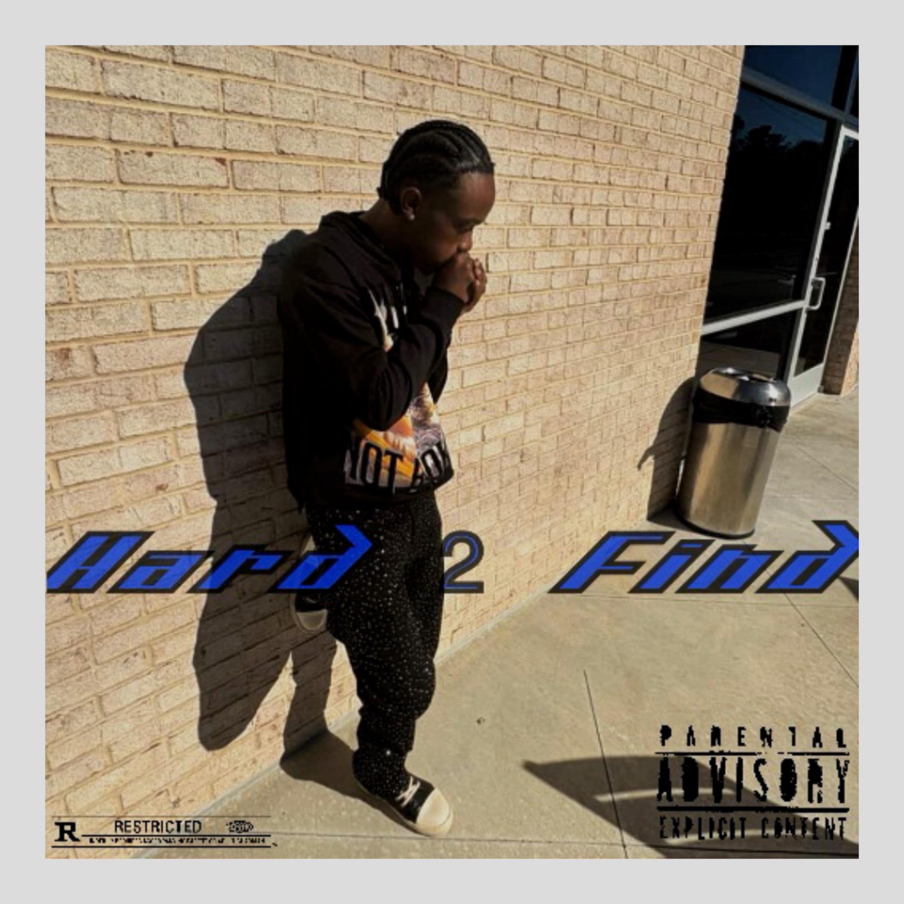 HARD 2 FIND artwork