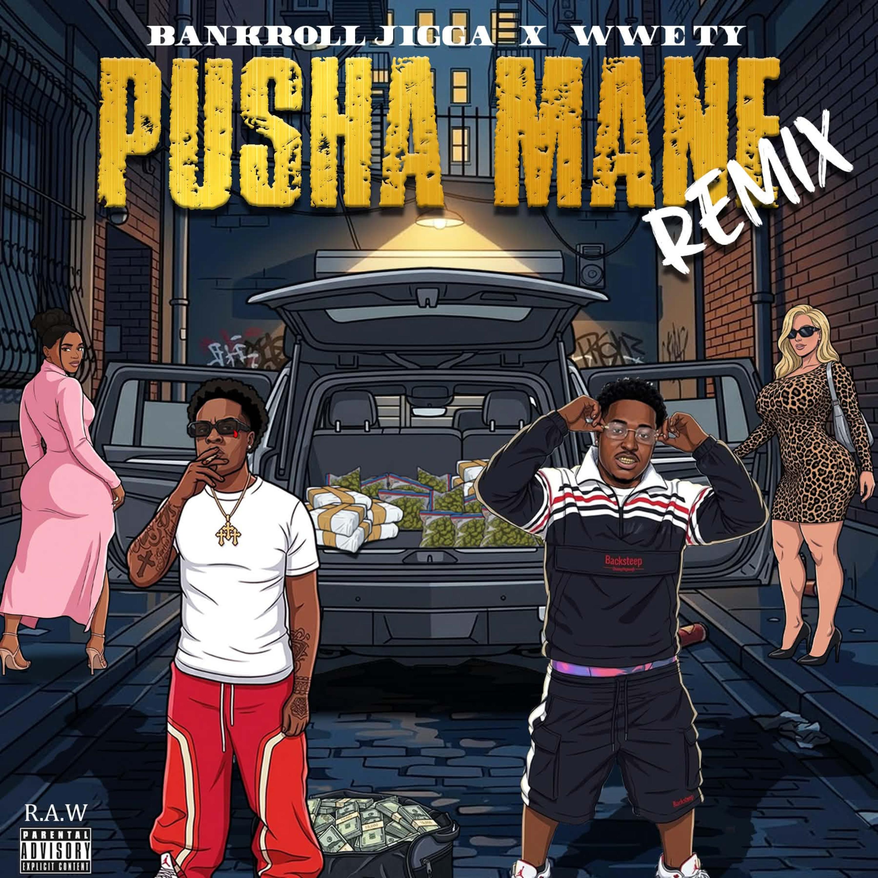 Pusha Mane (Remix) by Bankroll Jigga cover art