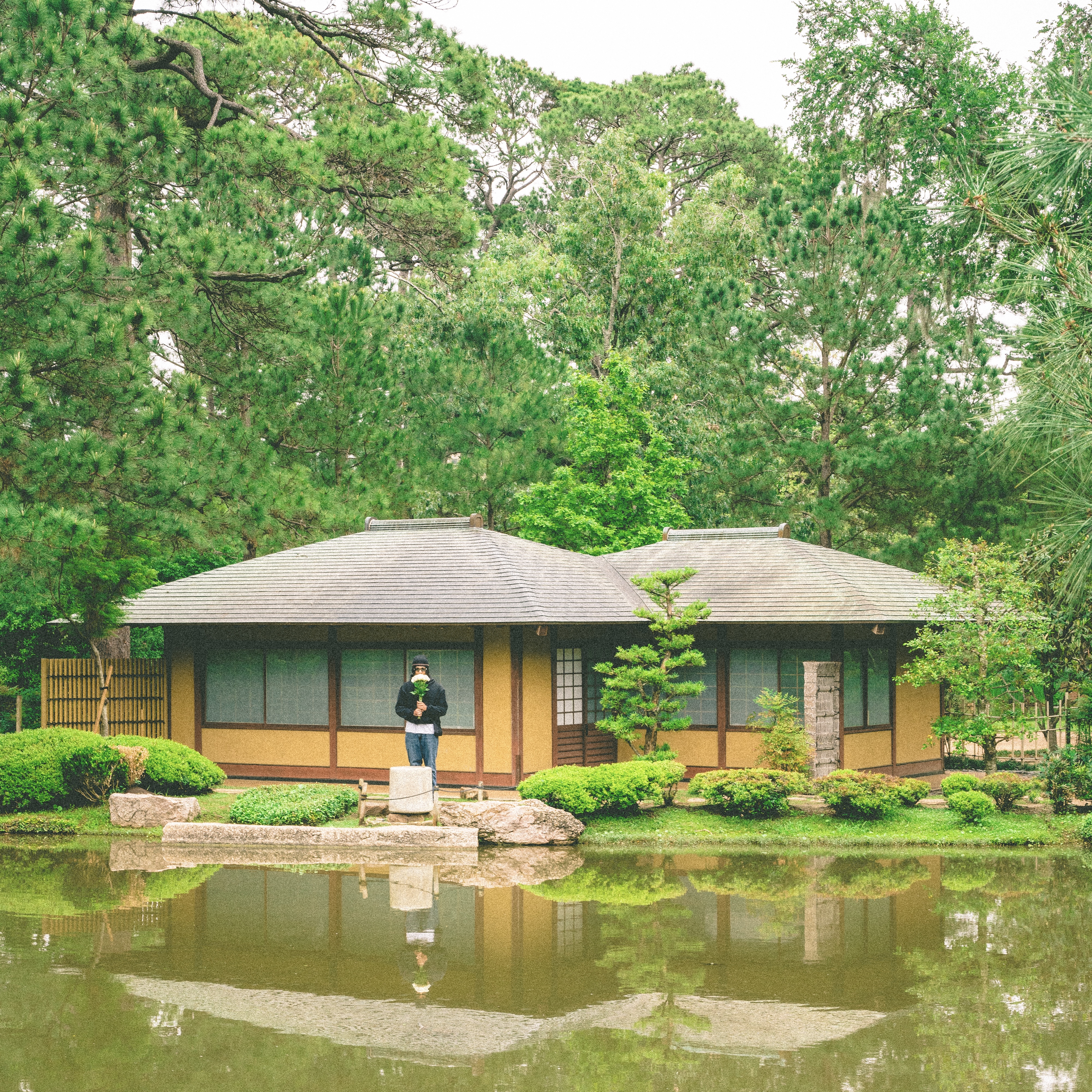 i have so much to tell you. (deluxe) artwork