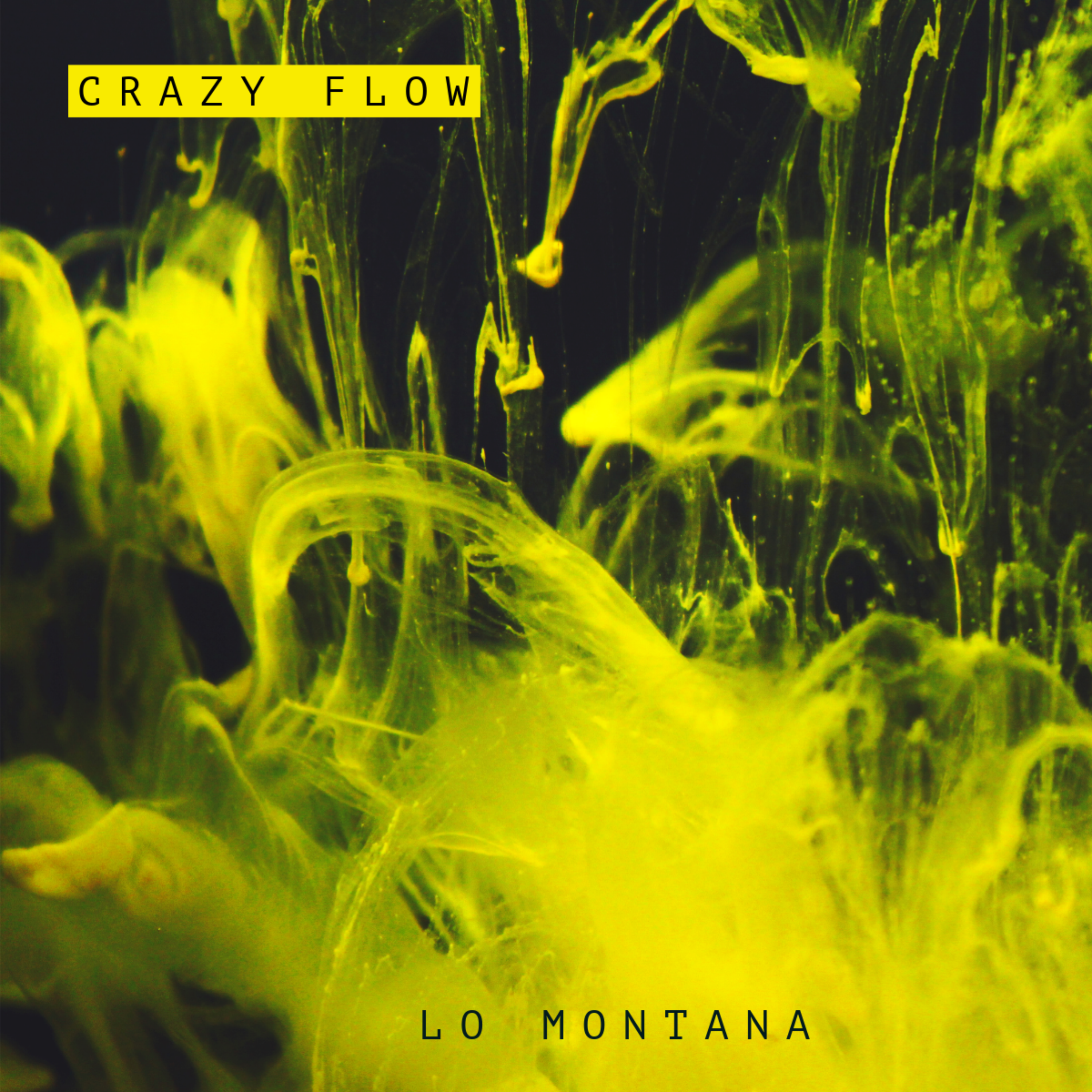 Crazy Flow artwork