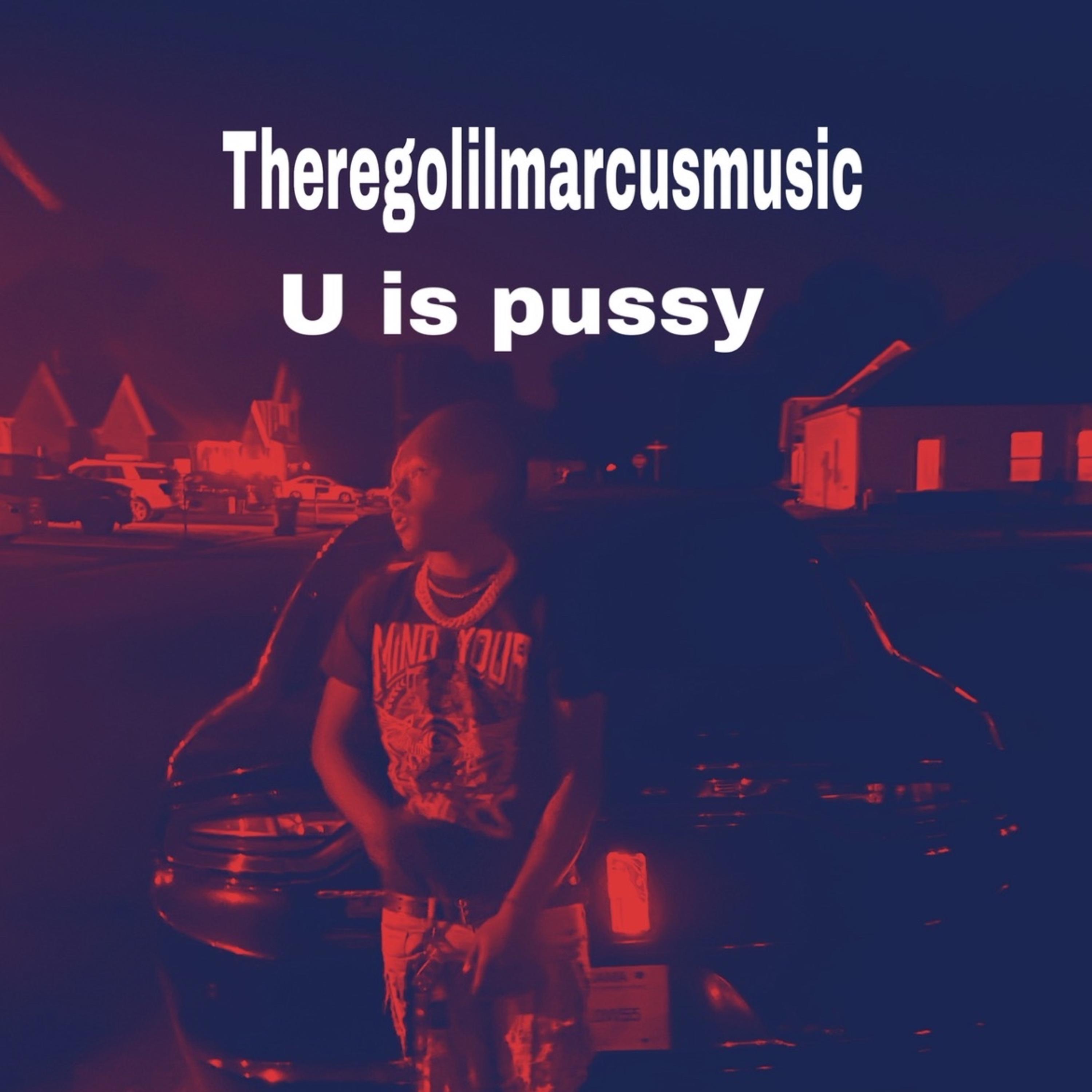 U Is Pussy artwork