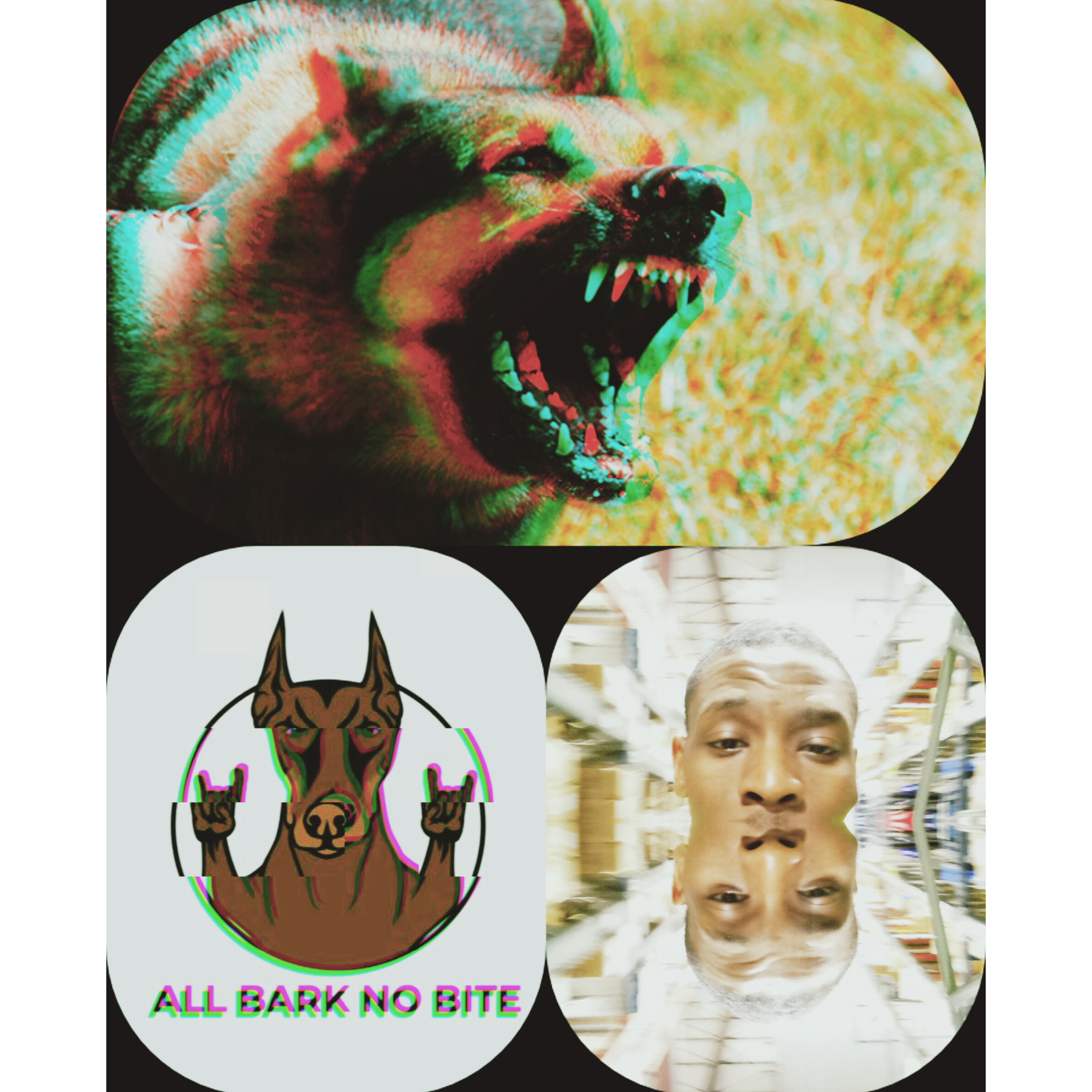 All Bite No Bark artwork