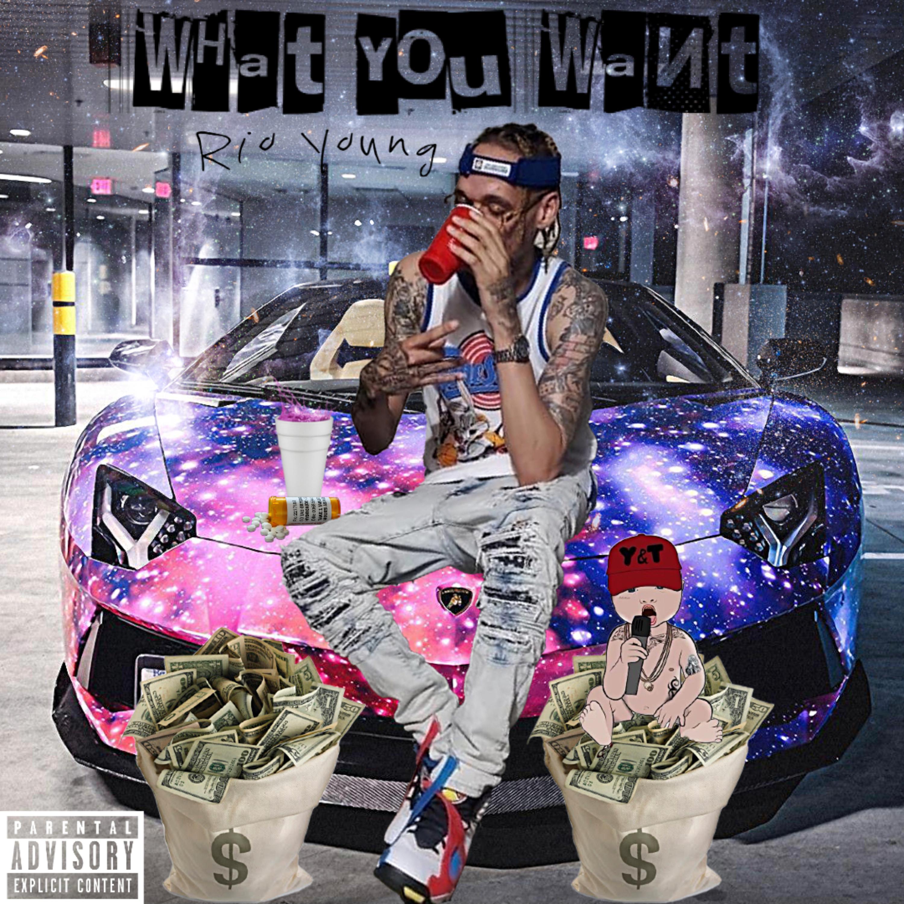 What You Want artwork