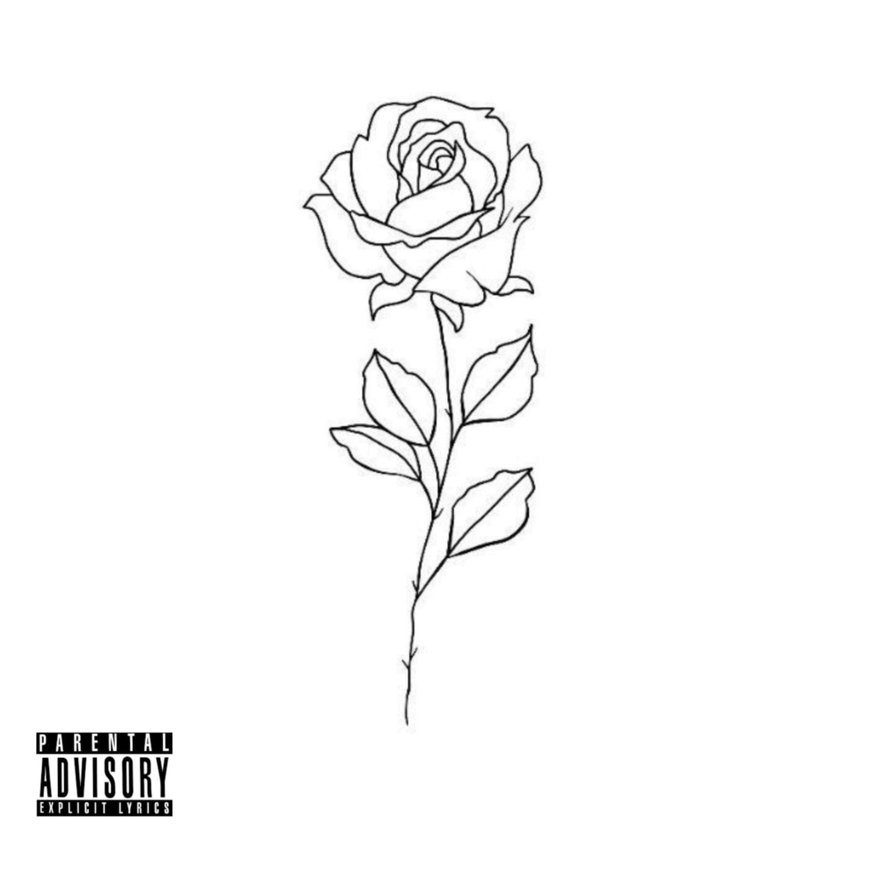 Start Of A New Beginning! artwork