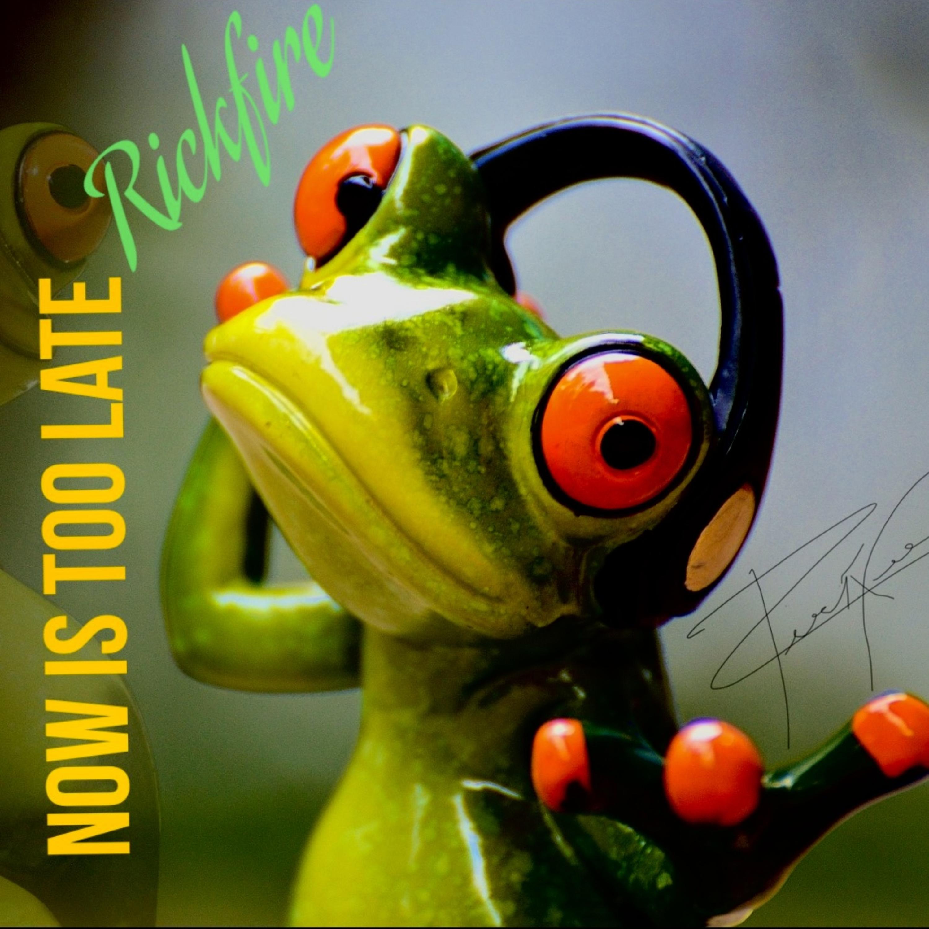 Now Is Too Late artwork