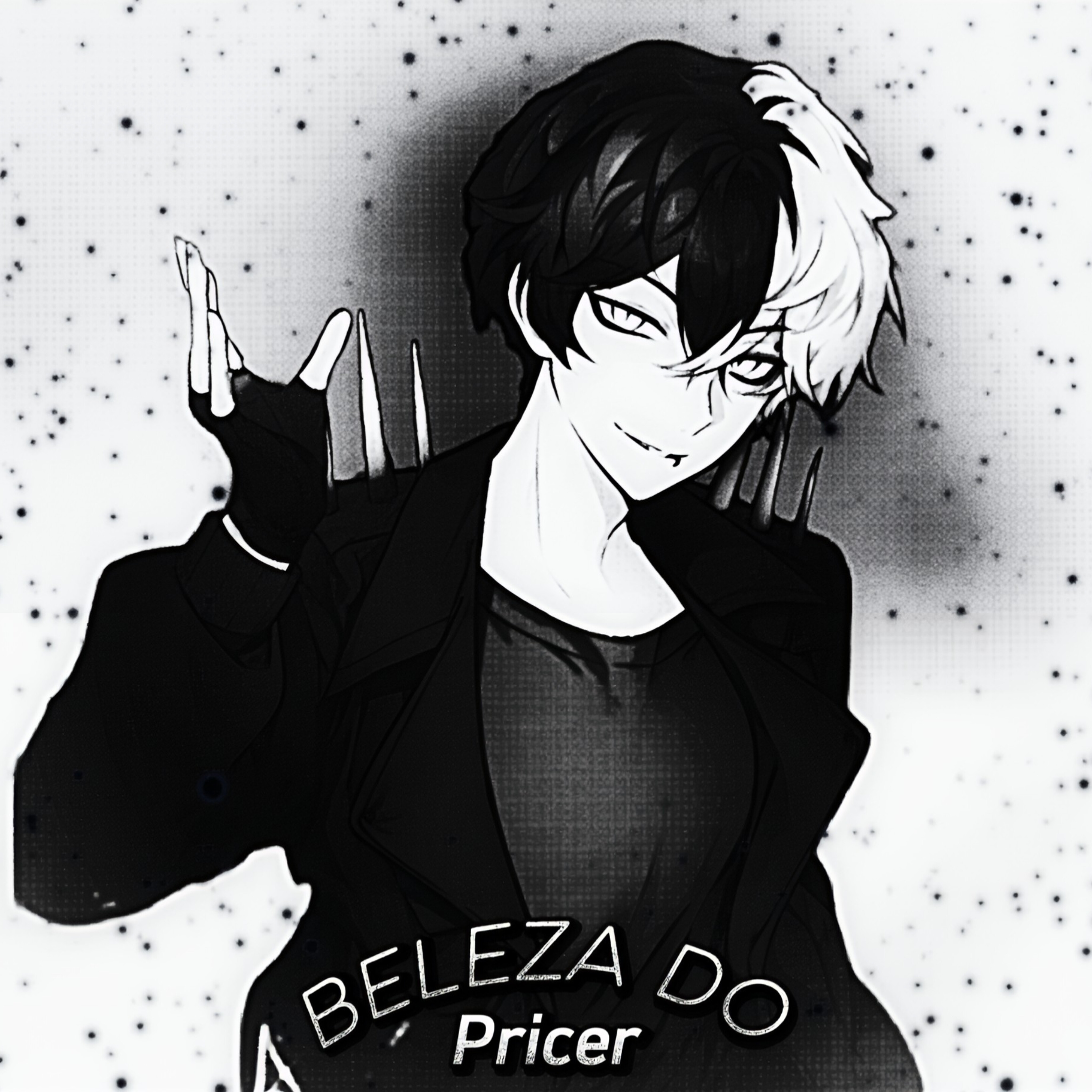 Beleza Do Pricer artwork