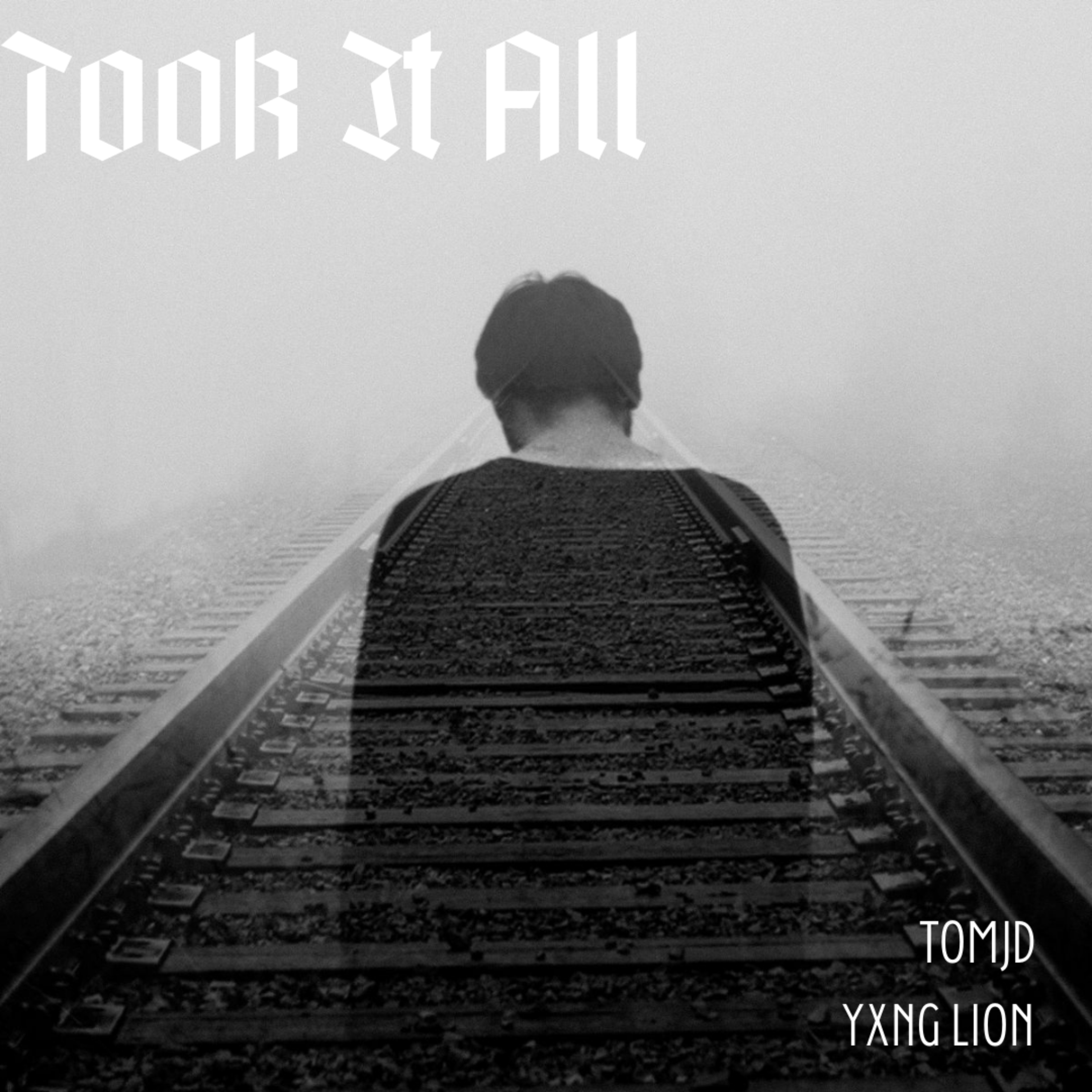 Took It All artwork