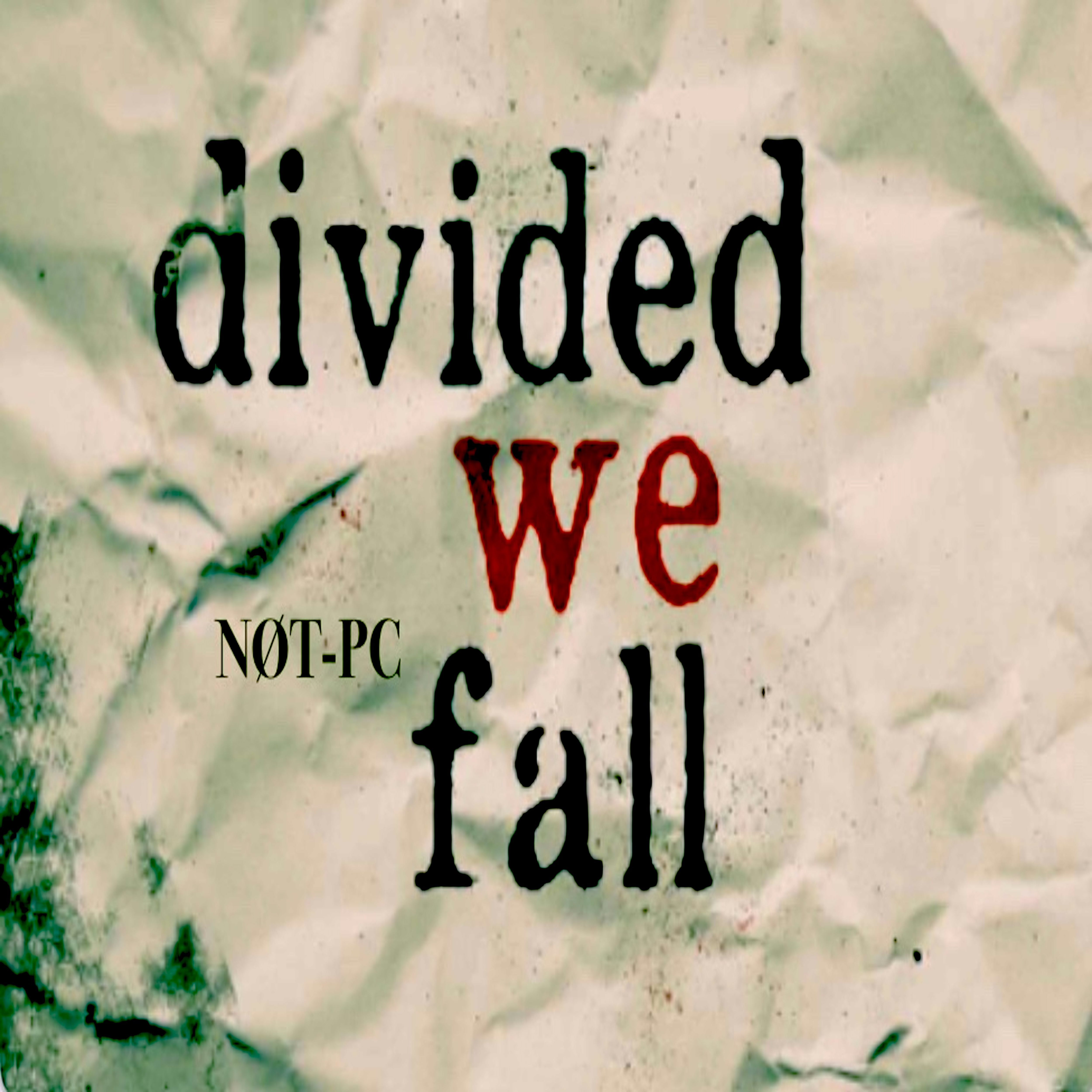 divided we fall artwork