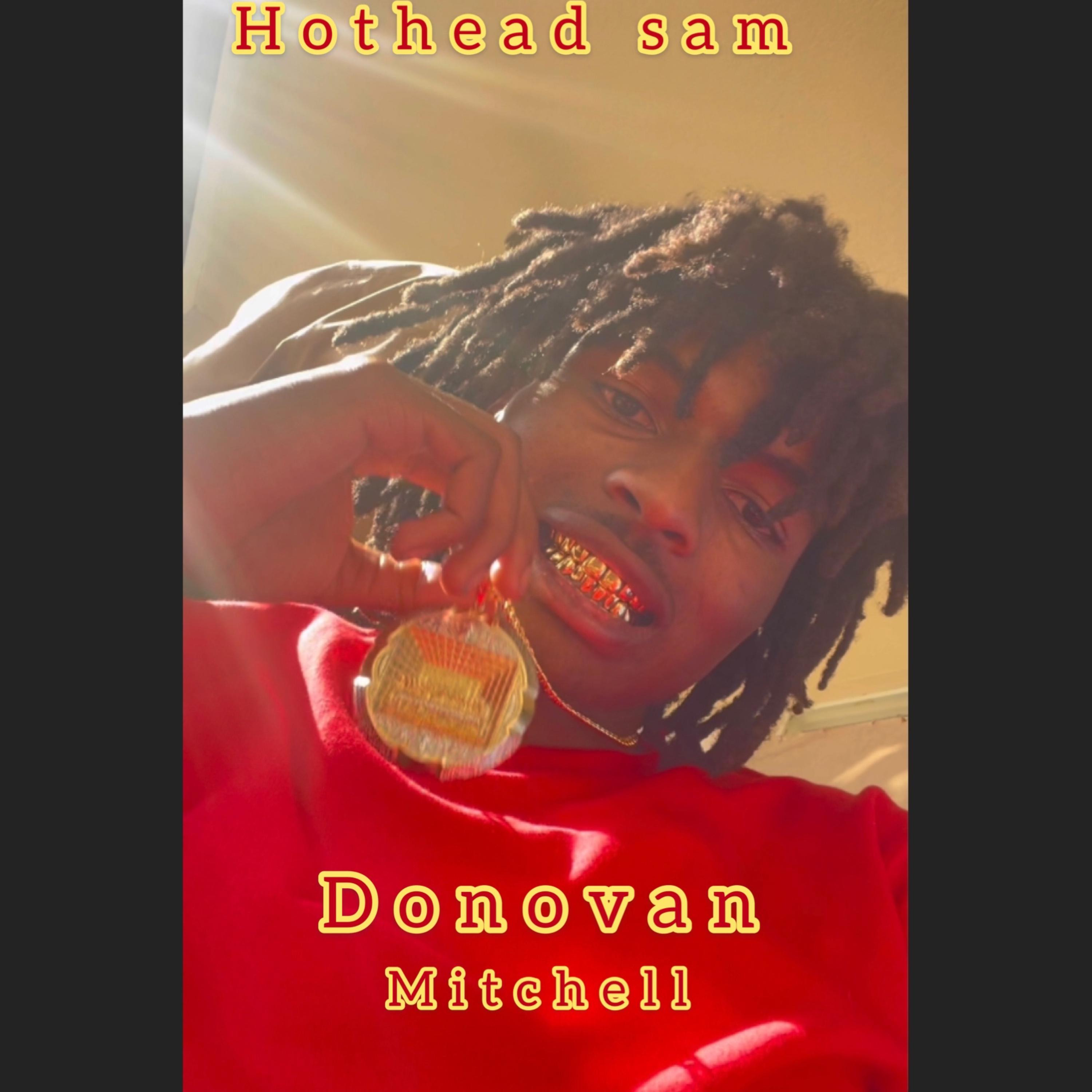 Donovan Mitchell artwork