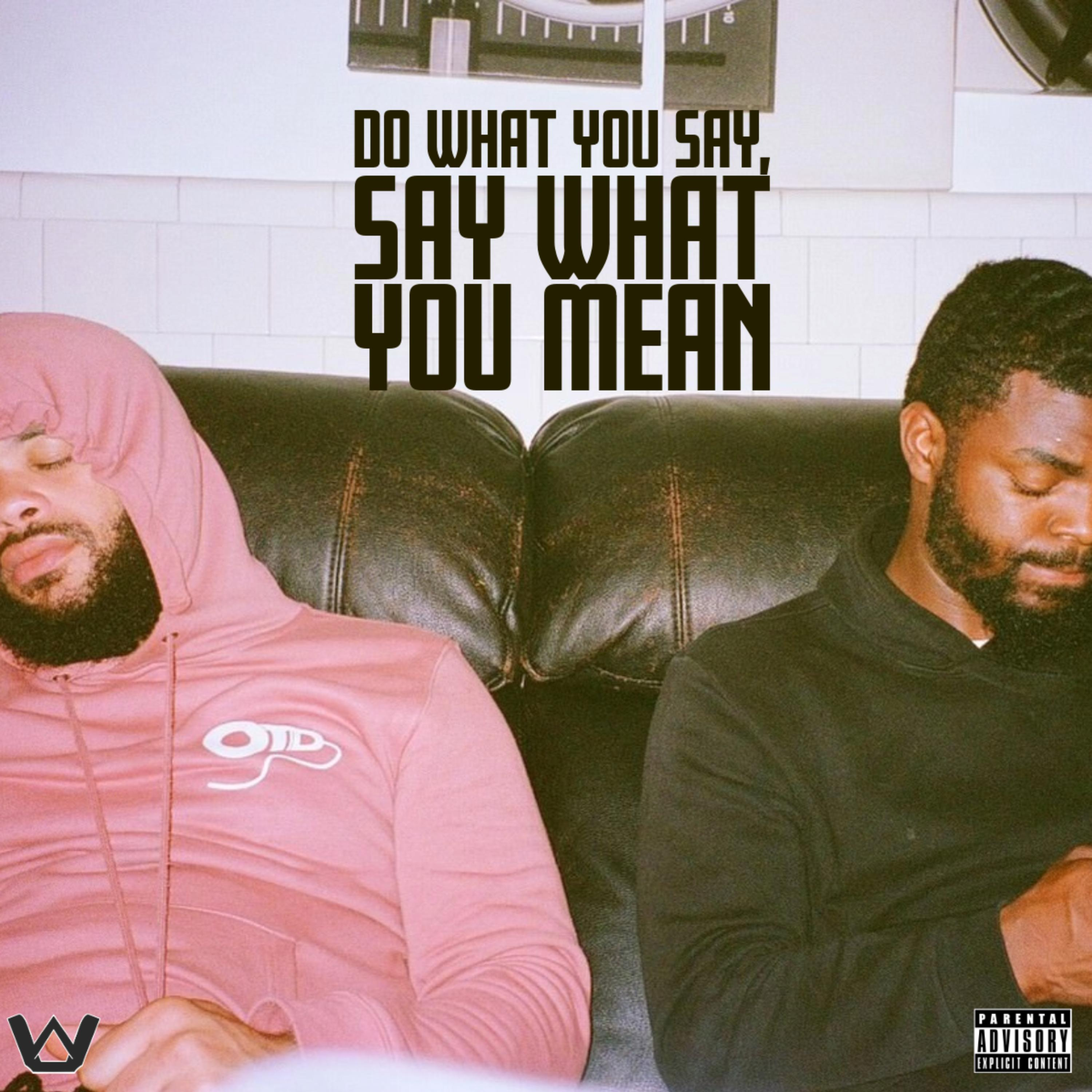 Do What You Say, Say What You Mean artwork