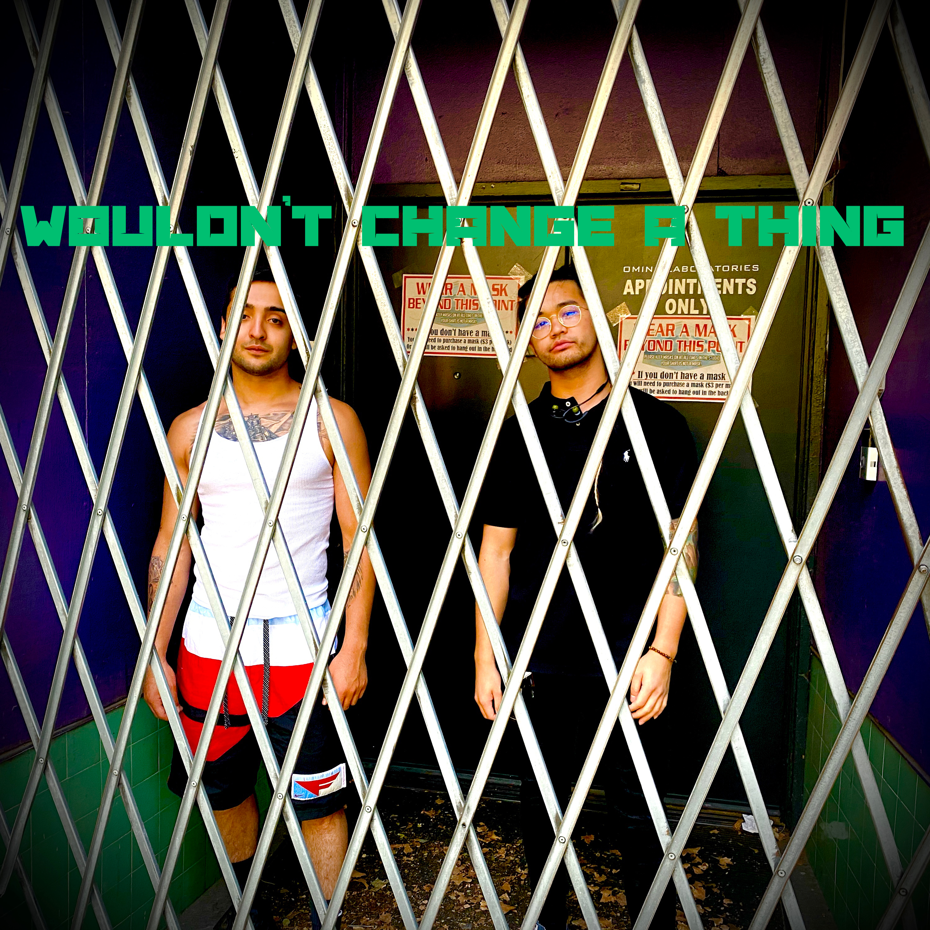 Wouldn't Change A Thing artwork