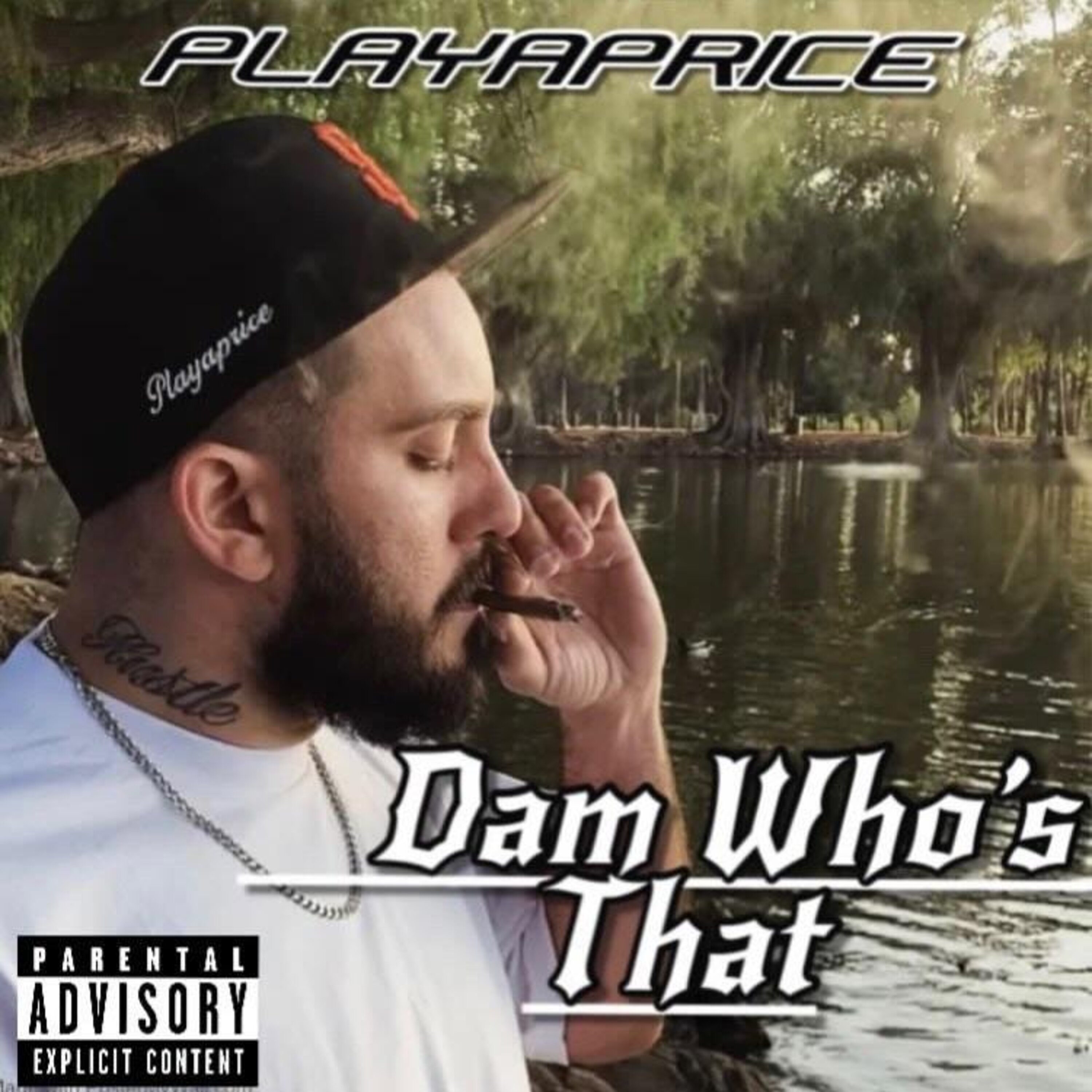 Dam Who's That artwork