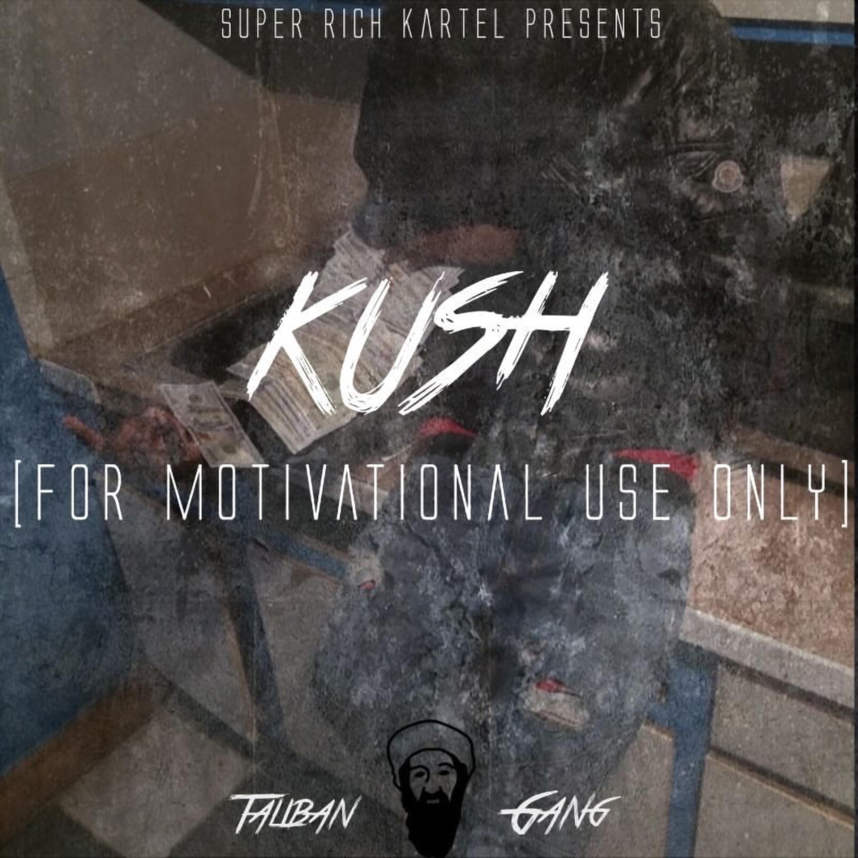 FOR MOTIVATIONAL USE ONLY artwork