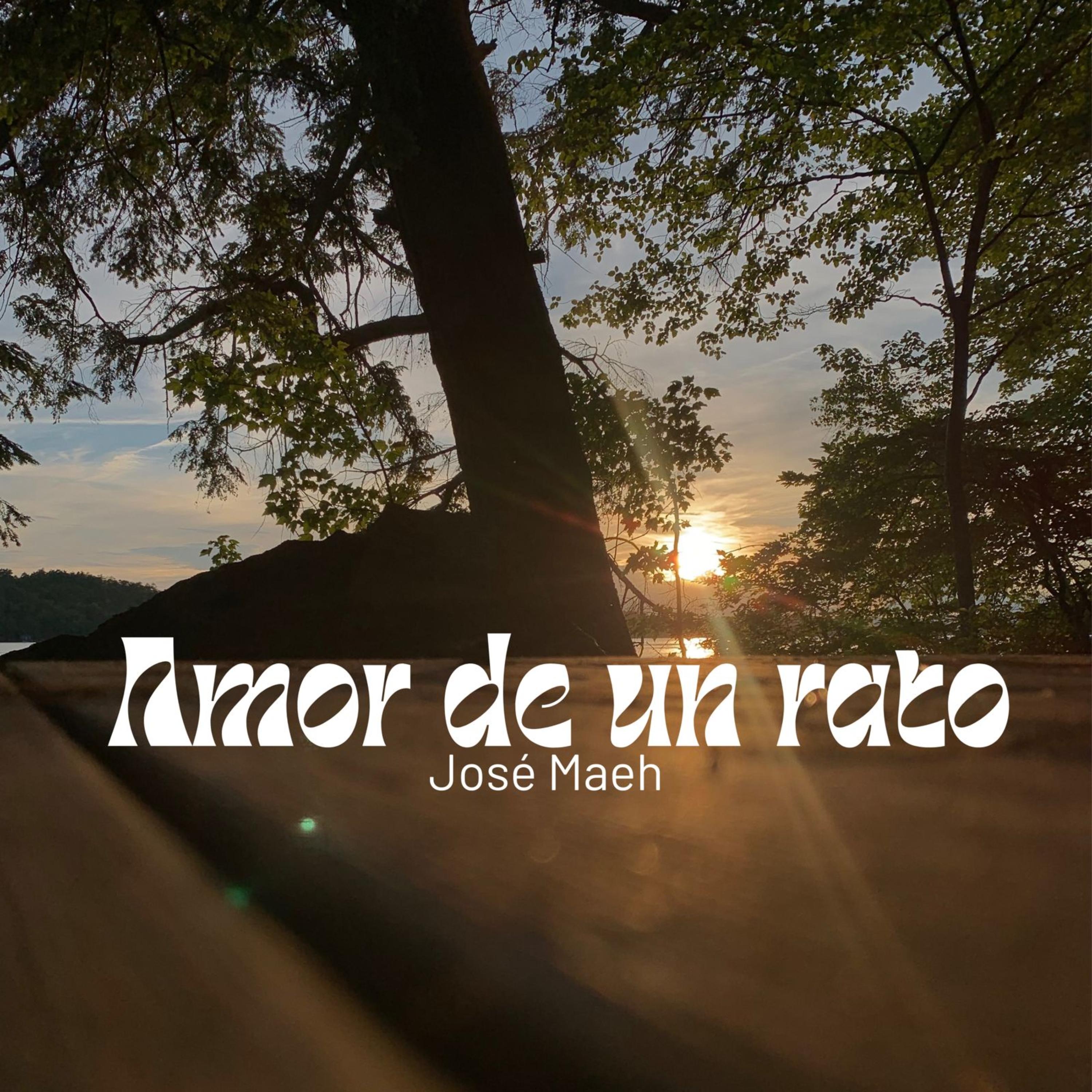 Amor de un rato artwork