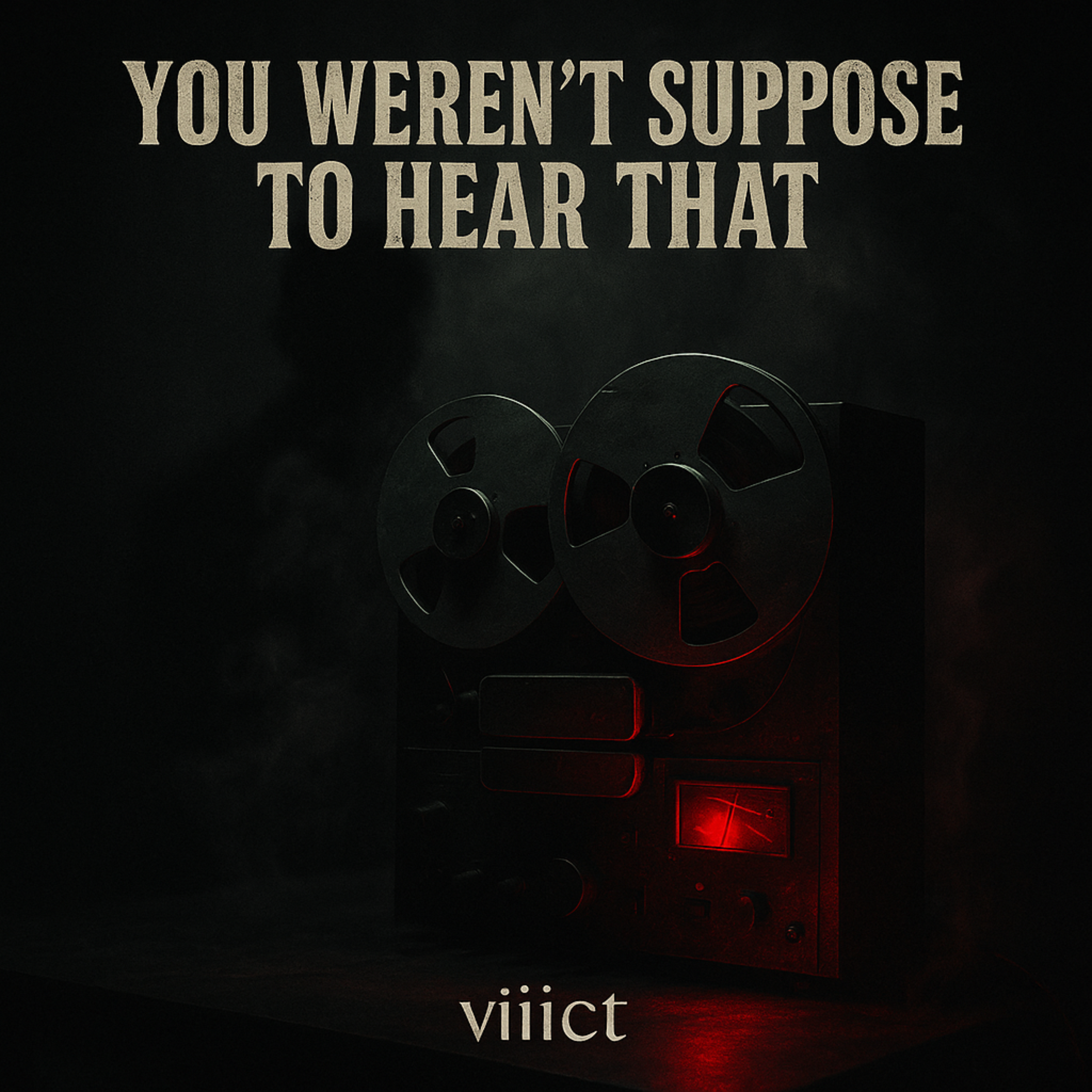 YOU WEREN'T SUPPOSE TO HEAR THAT artwork