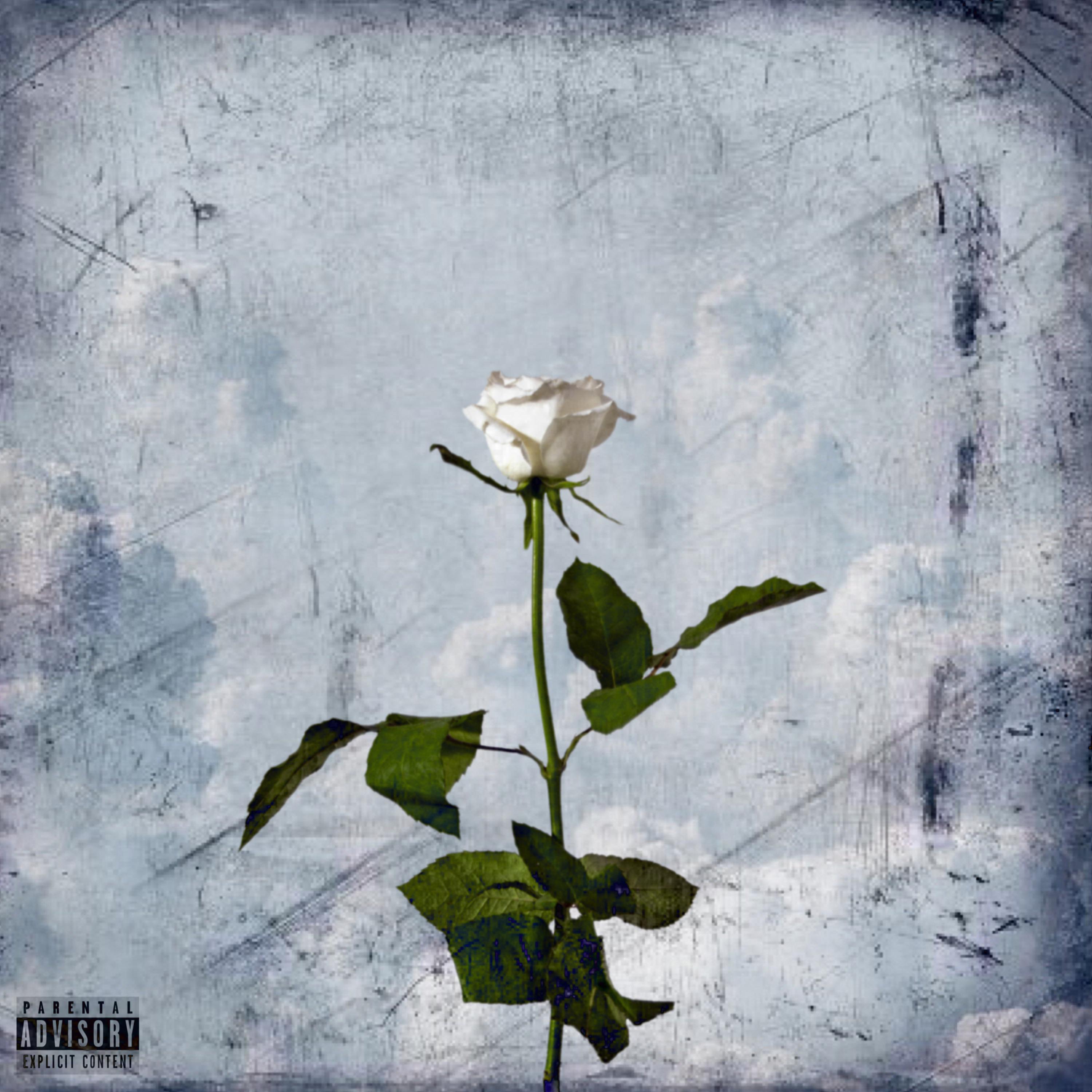 HOTTEST YUNGIN artwork